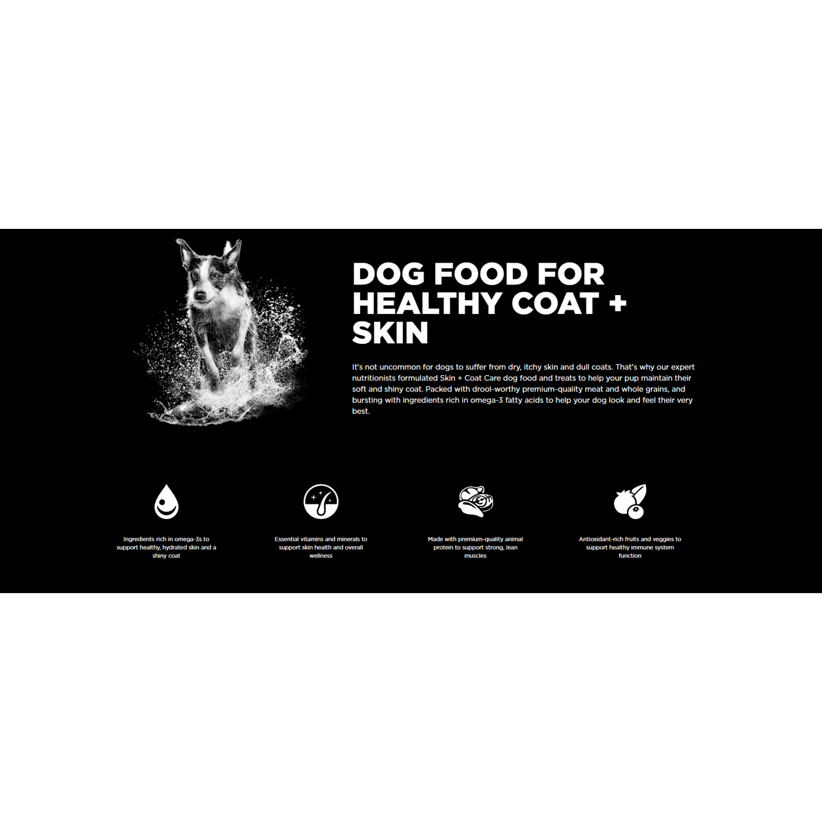 go! solutions Go! Dog  skin & coat care duck recipe with grains