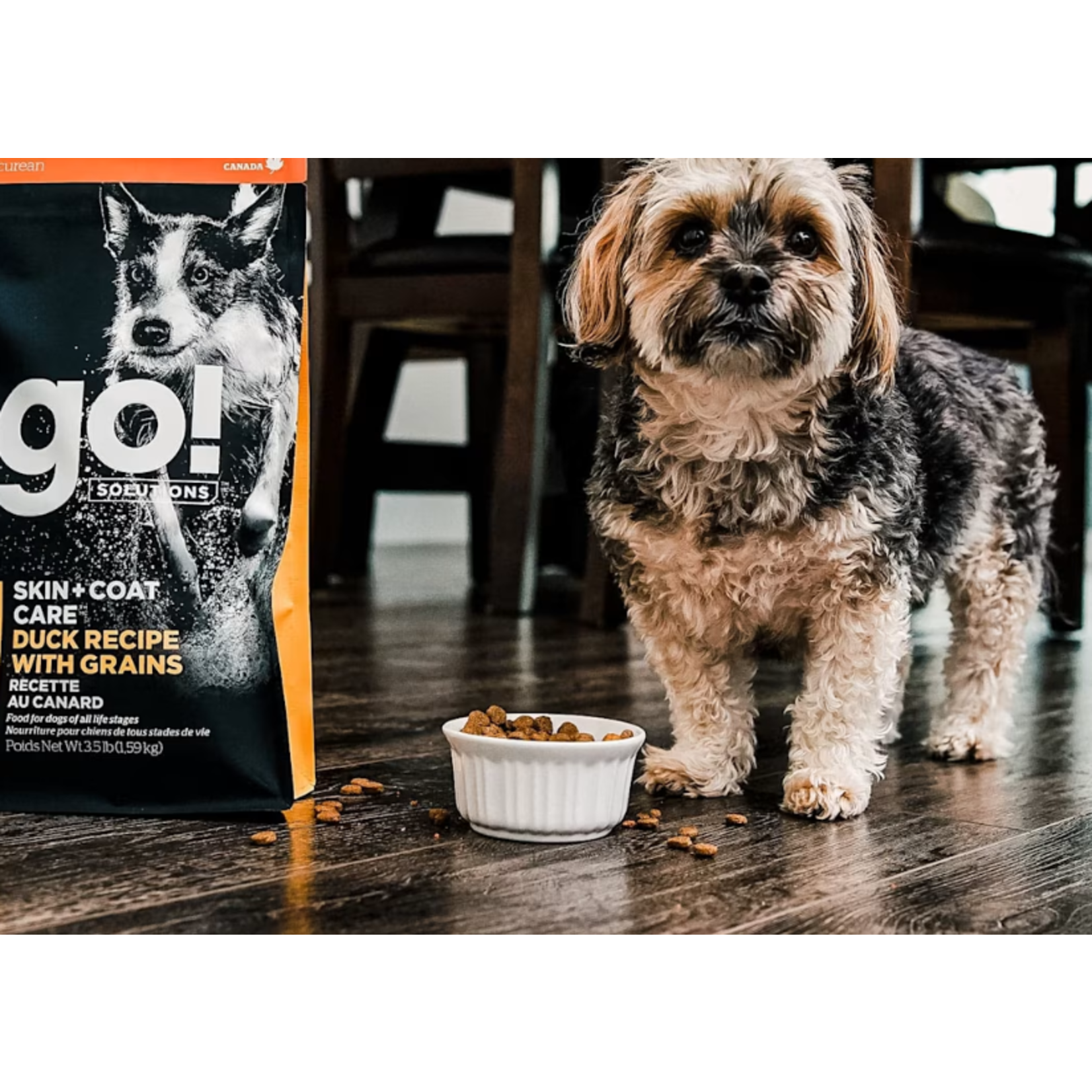 go! solutions Go! Dog  skin and coat care duck recipe with grains