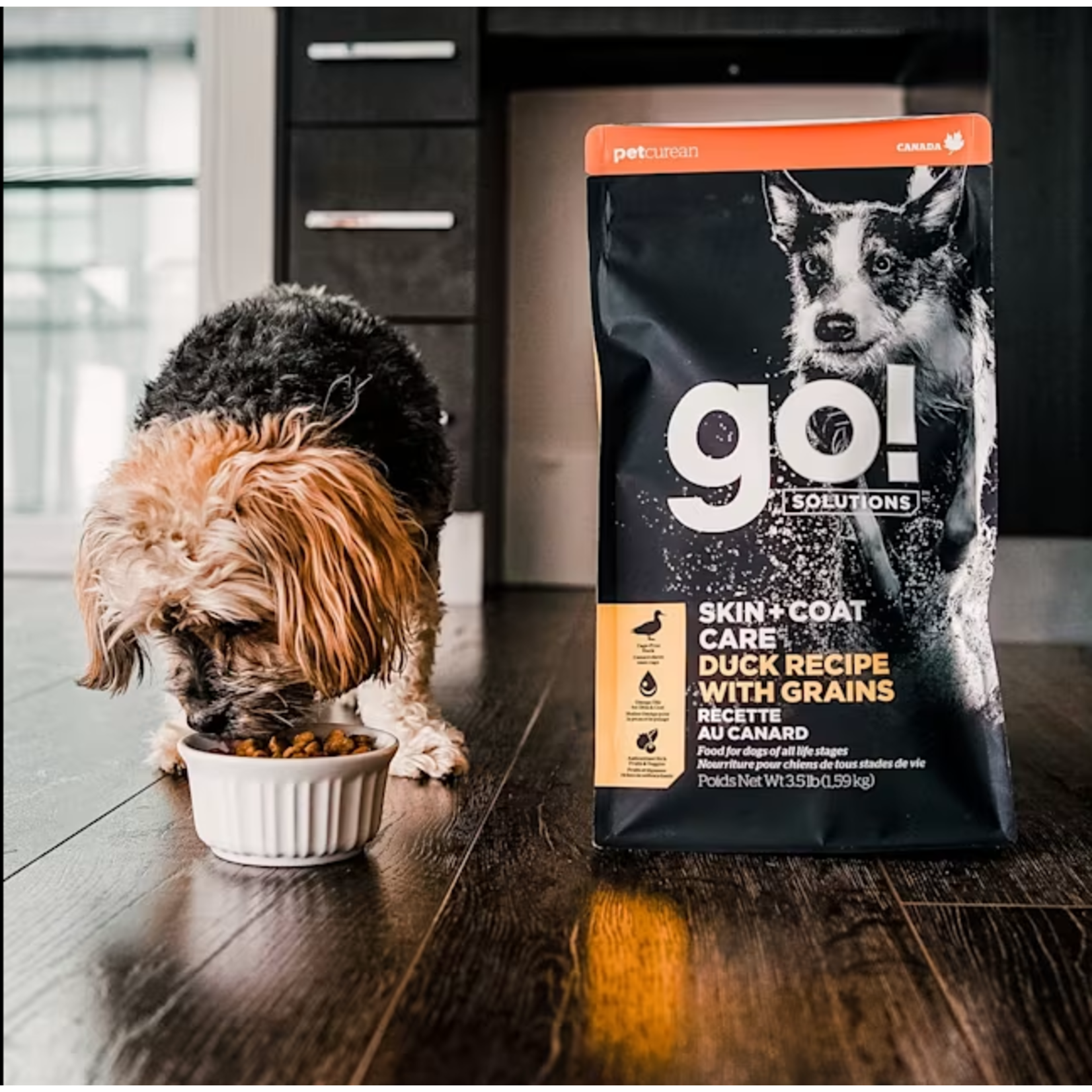 go! solutions Go! Dog  skin and coat care duck recipe with grains