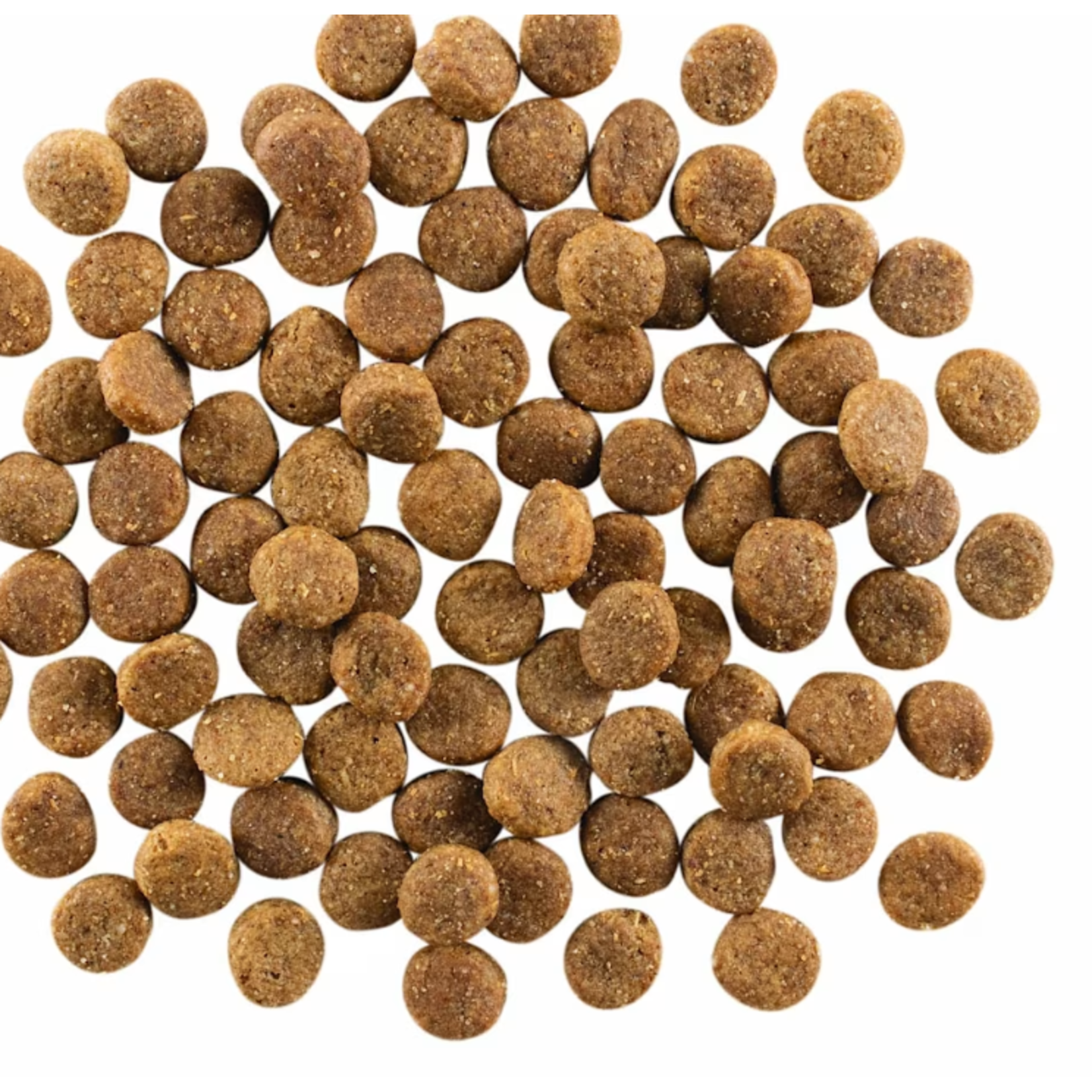 go! solutions Go! Dog skin + coat care chicken recipe with grains