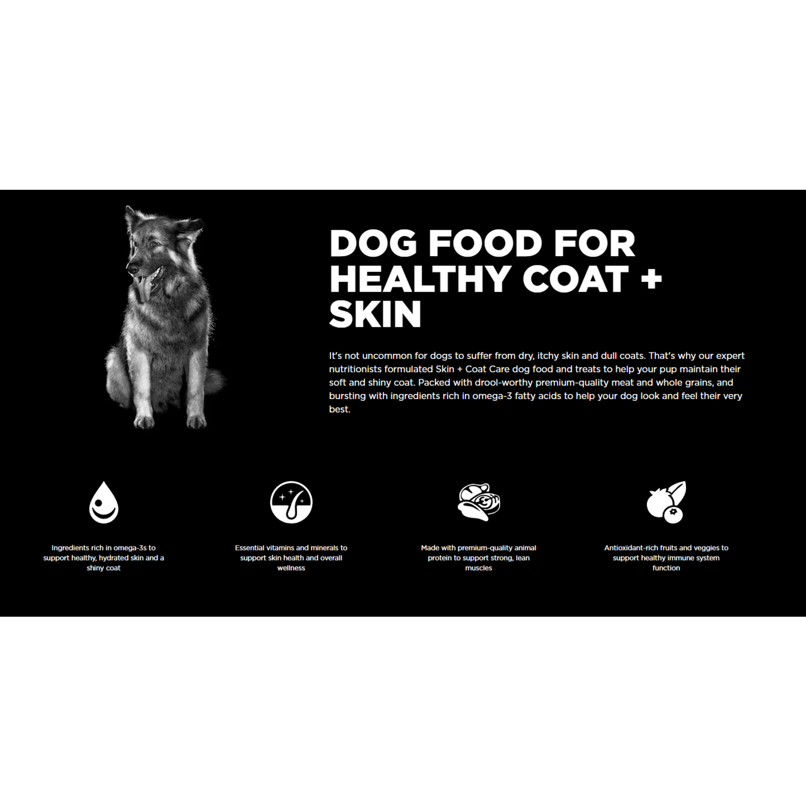 go! solutions Go! Dog skin + coat care chicken recipe with grains