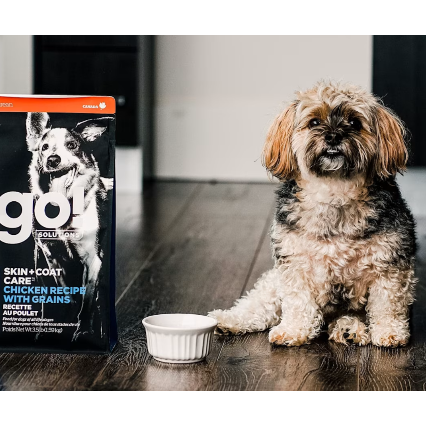 go! solutions Go! Dog skin + coat care chicken recipe with grains