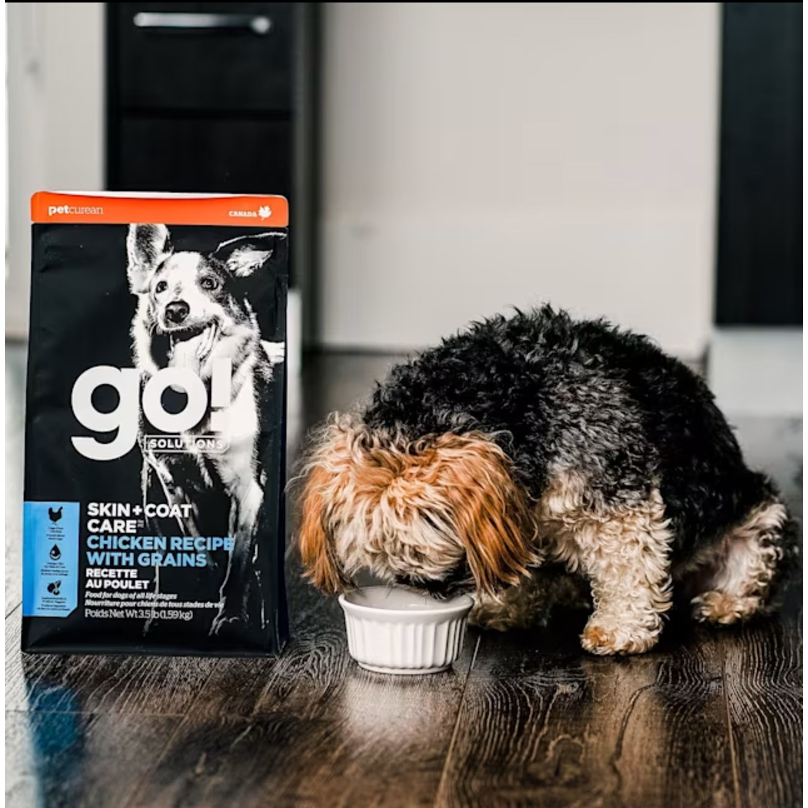 go! solutions Go! Dog skin + coat care chicken recipe with grains