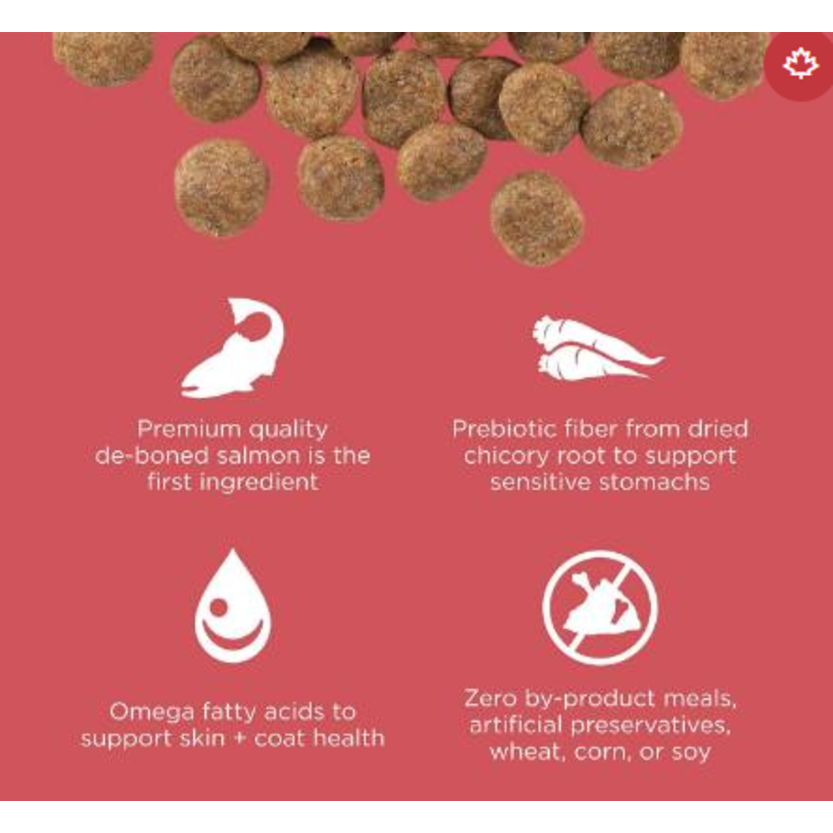 go! solutions Go! Dog Sensitivities LID GF Salmon
