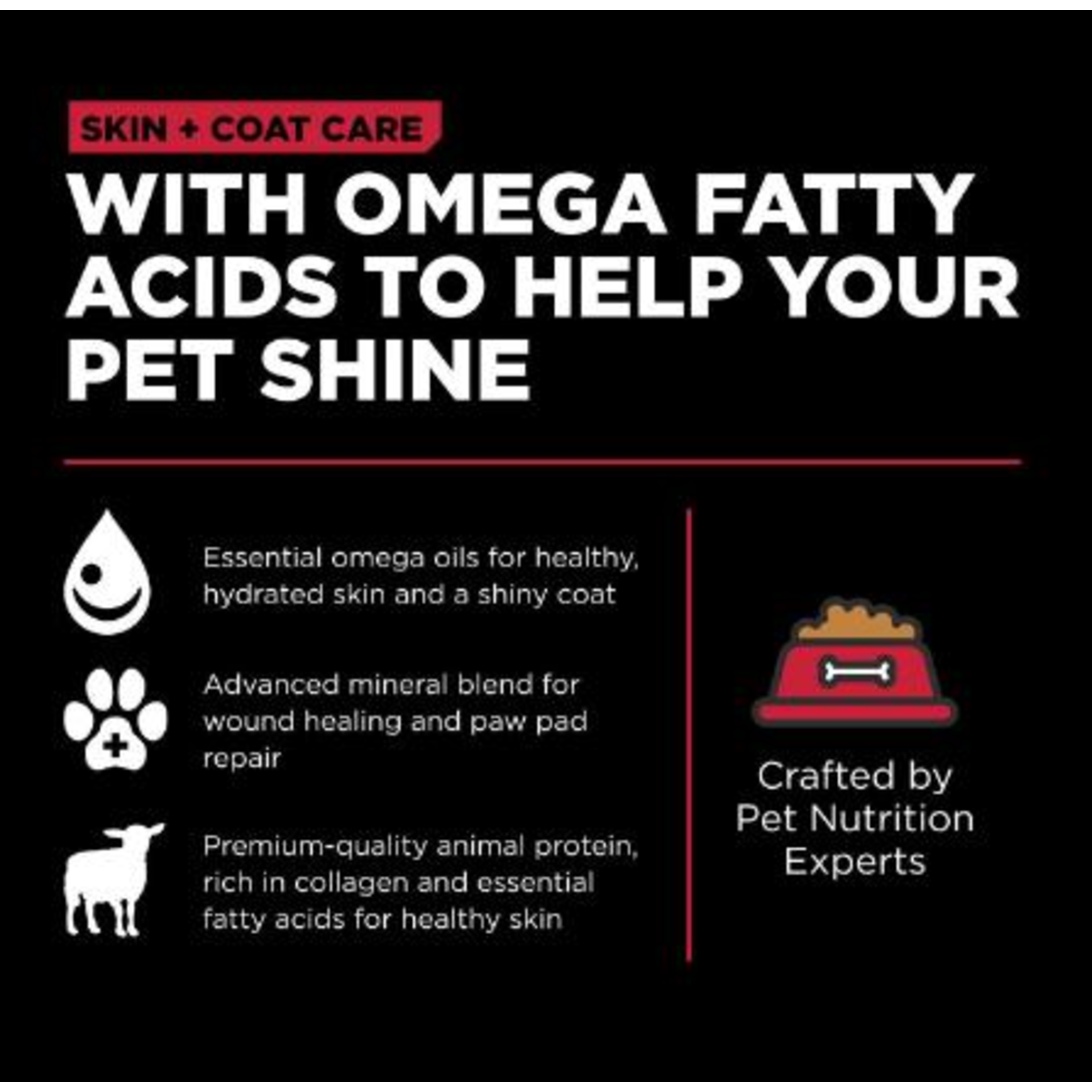 go! solutions GO! Dog Skin & Coat Care Lamb Recipe with grains