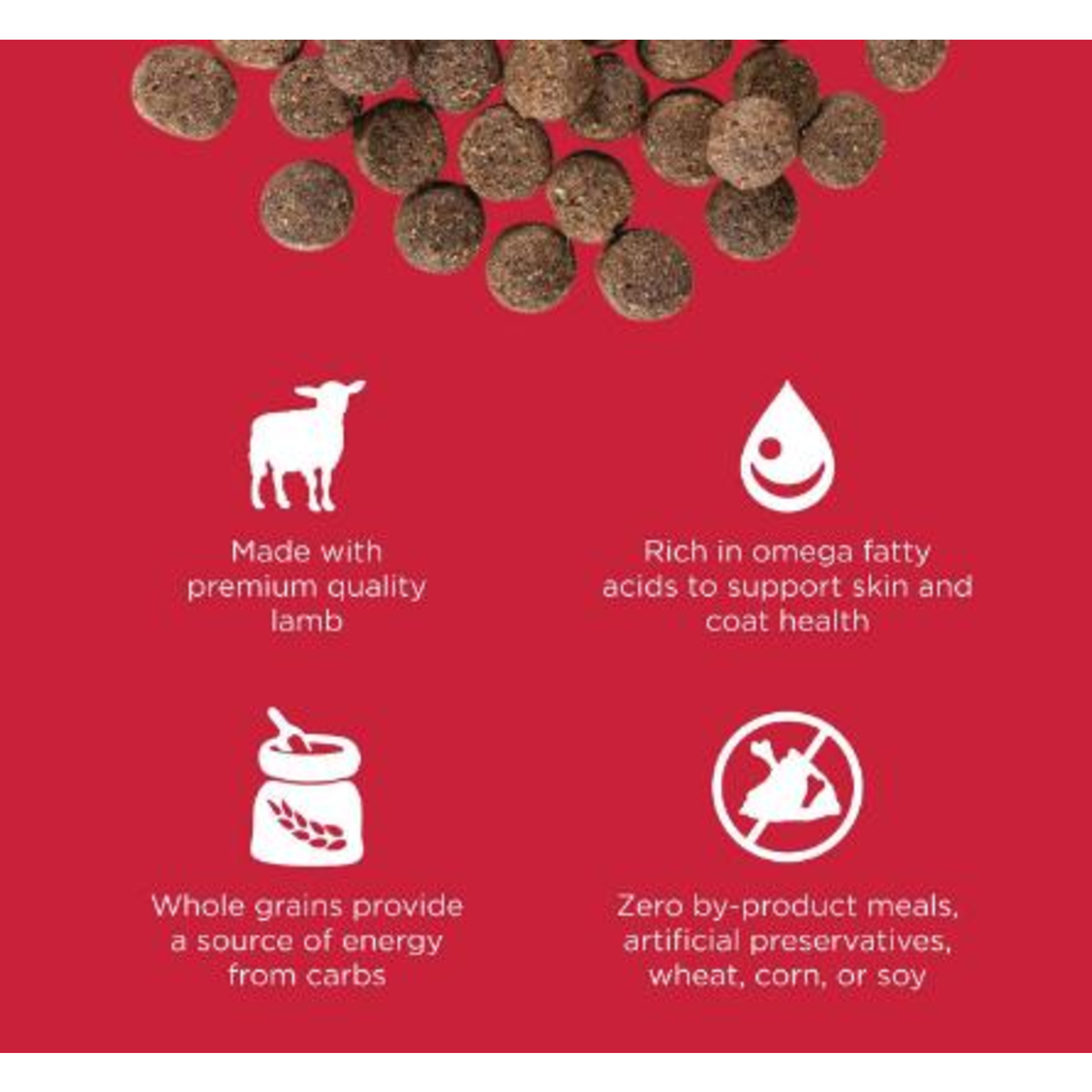 go! solutions GO! Dog Skin & Coat Care Lamb Recipe with grains