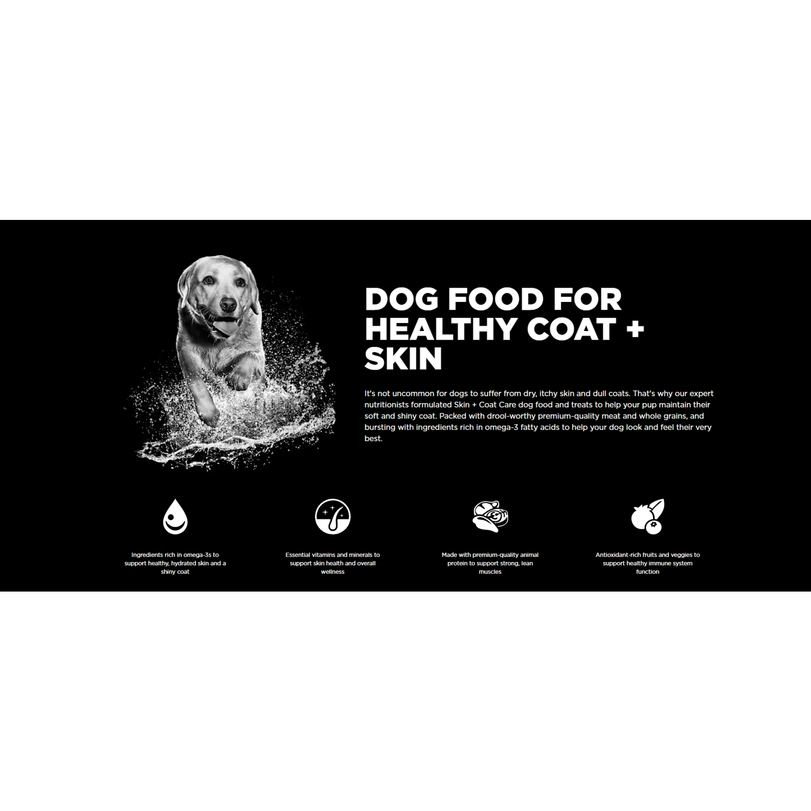 go! solutions GO! Dog Skin & Coat Care Lamb Recipe with grains