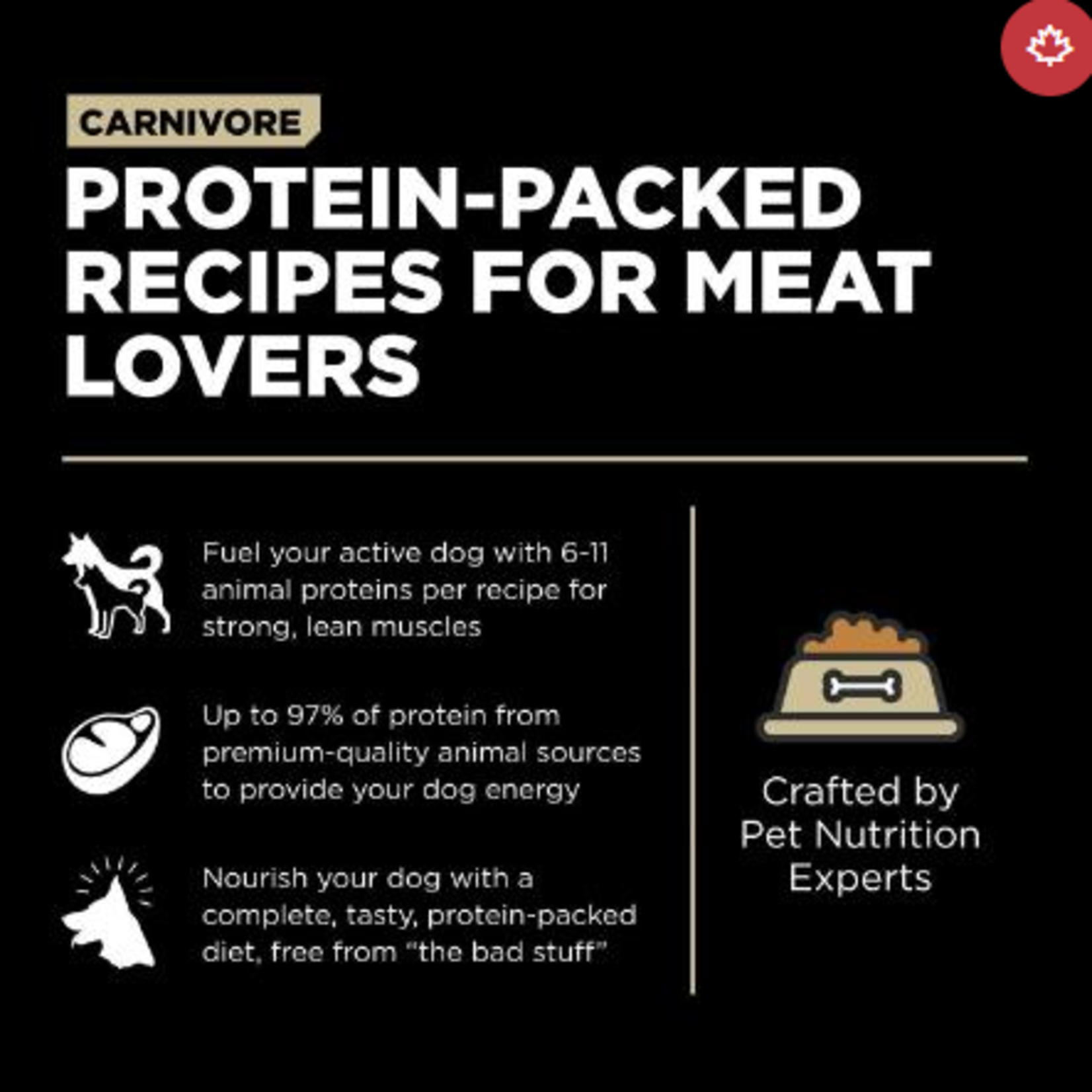 go! solutions Go! Dog Carnivore Grain free lamb & Wild Boar