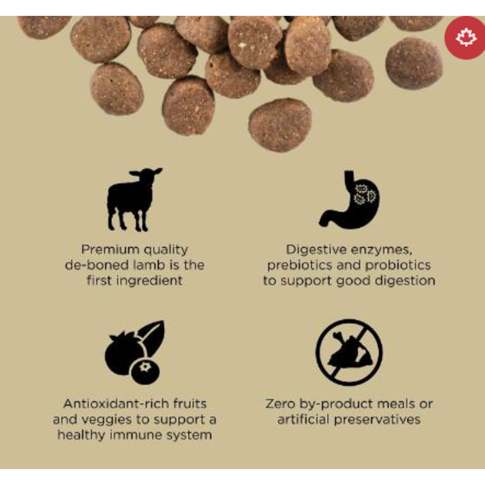 go! solutions Go! Dog Carnivore Grain free lamb & Wild Boar