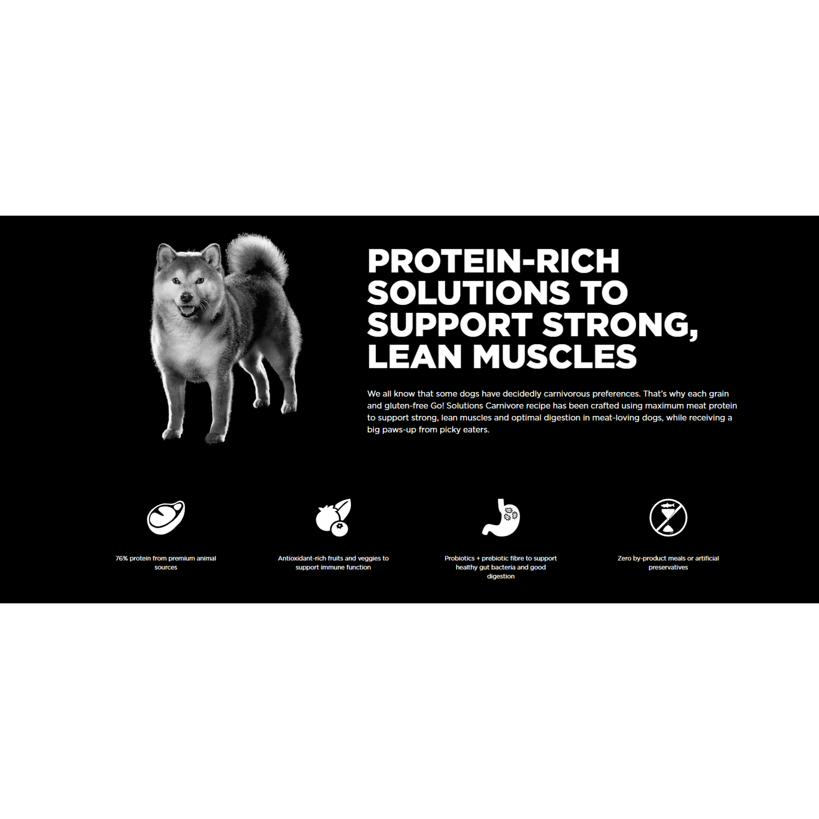 go! solutions Go! Dog Carnivore Grain free lamb & Wild Boar
