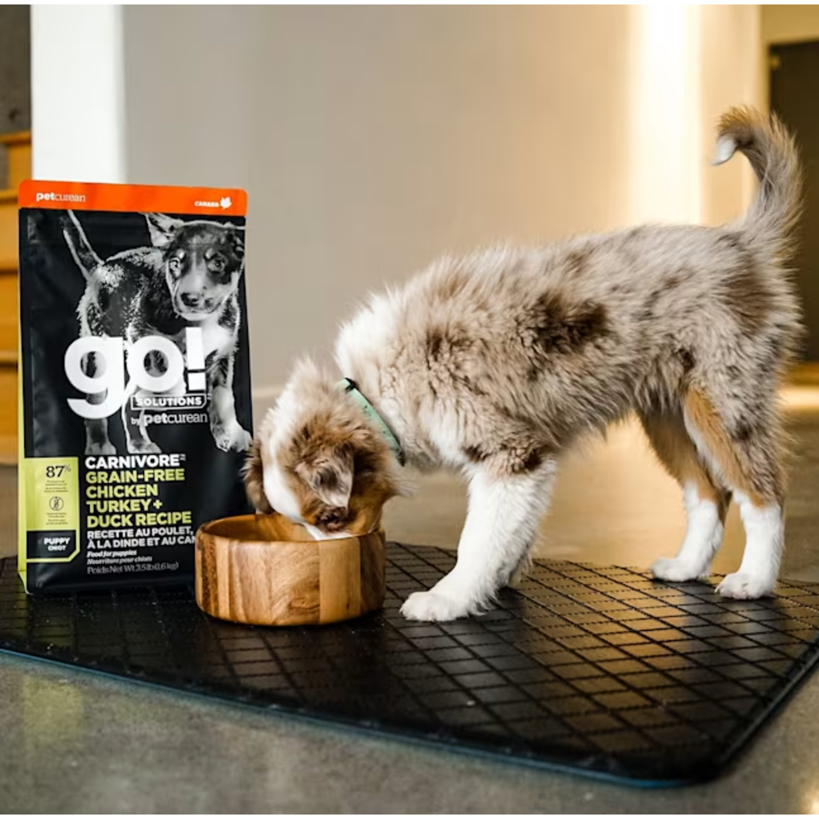go! solutions Go! Puppy GF Chicken+ Turkey + Duck