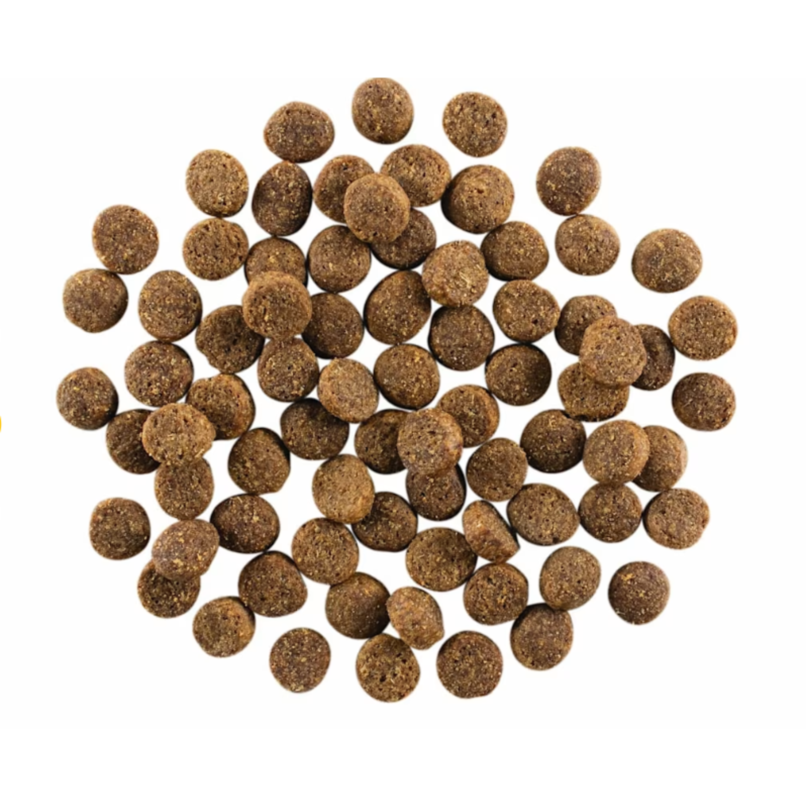 go! solutions Go! Dog Skin + Coat care Salmon with grains