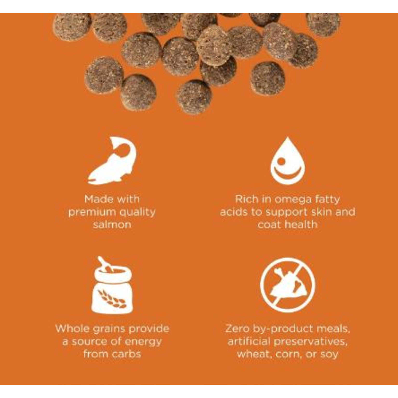 go! solutions Go! Dog Skin + Coat care Salmon with grains