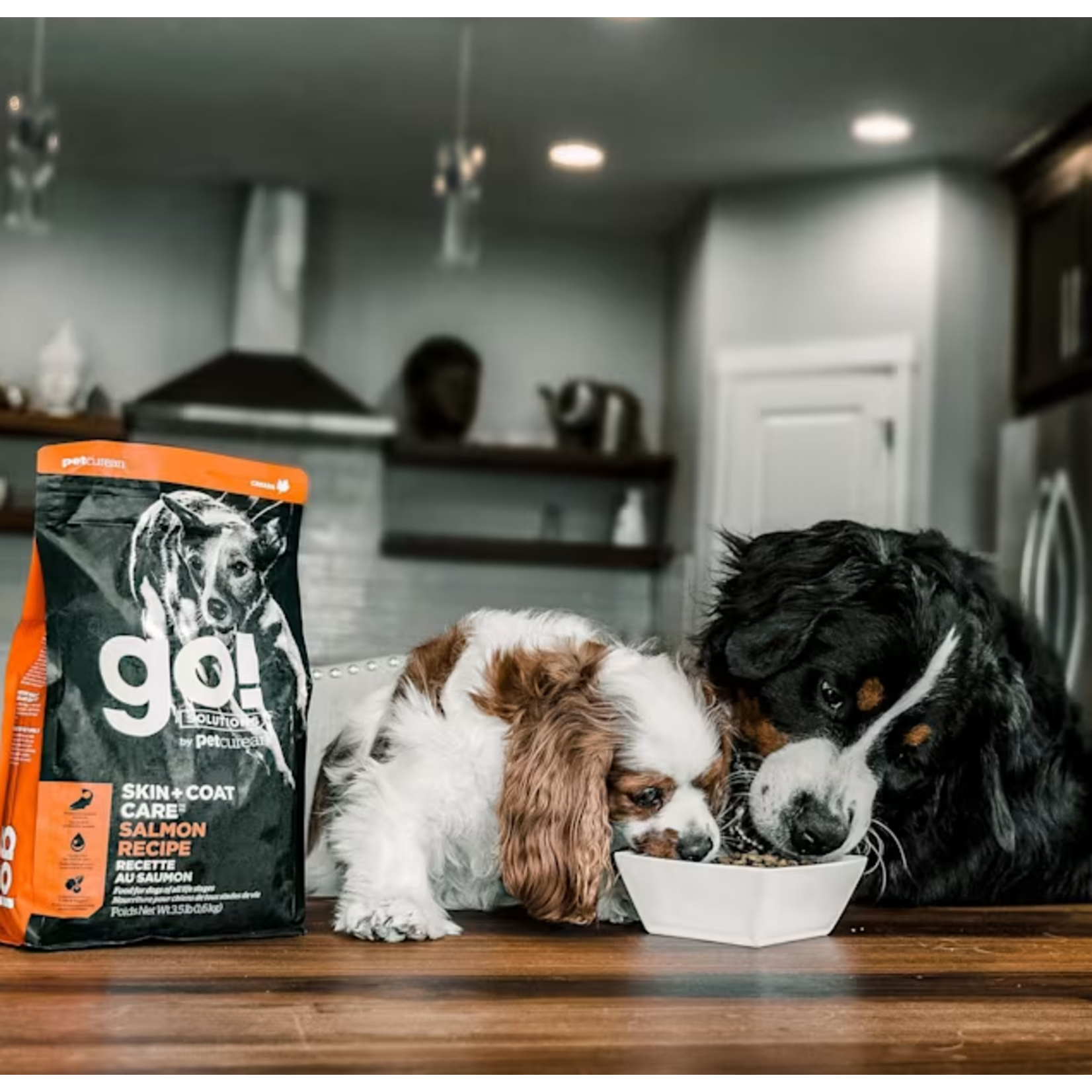 go! solutions Go! Dog Skin + Coat care Salmon with grains