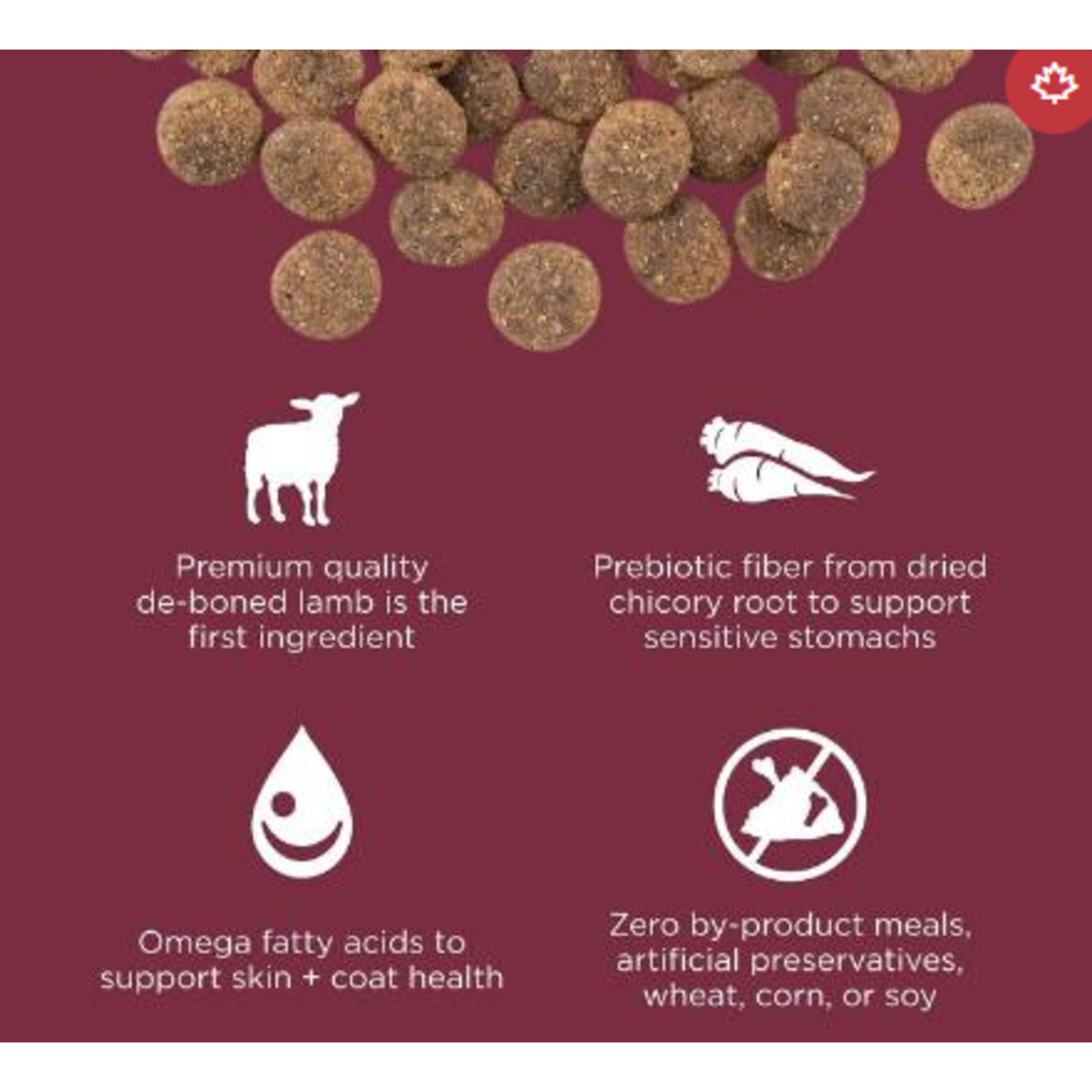 go! solutions Go! Dog Sensitivities LID GF Lamb