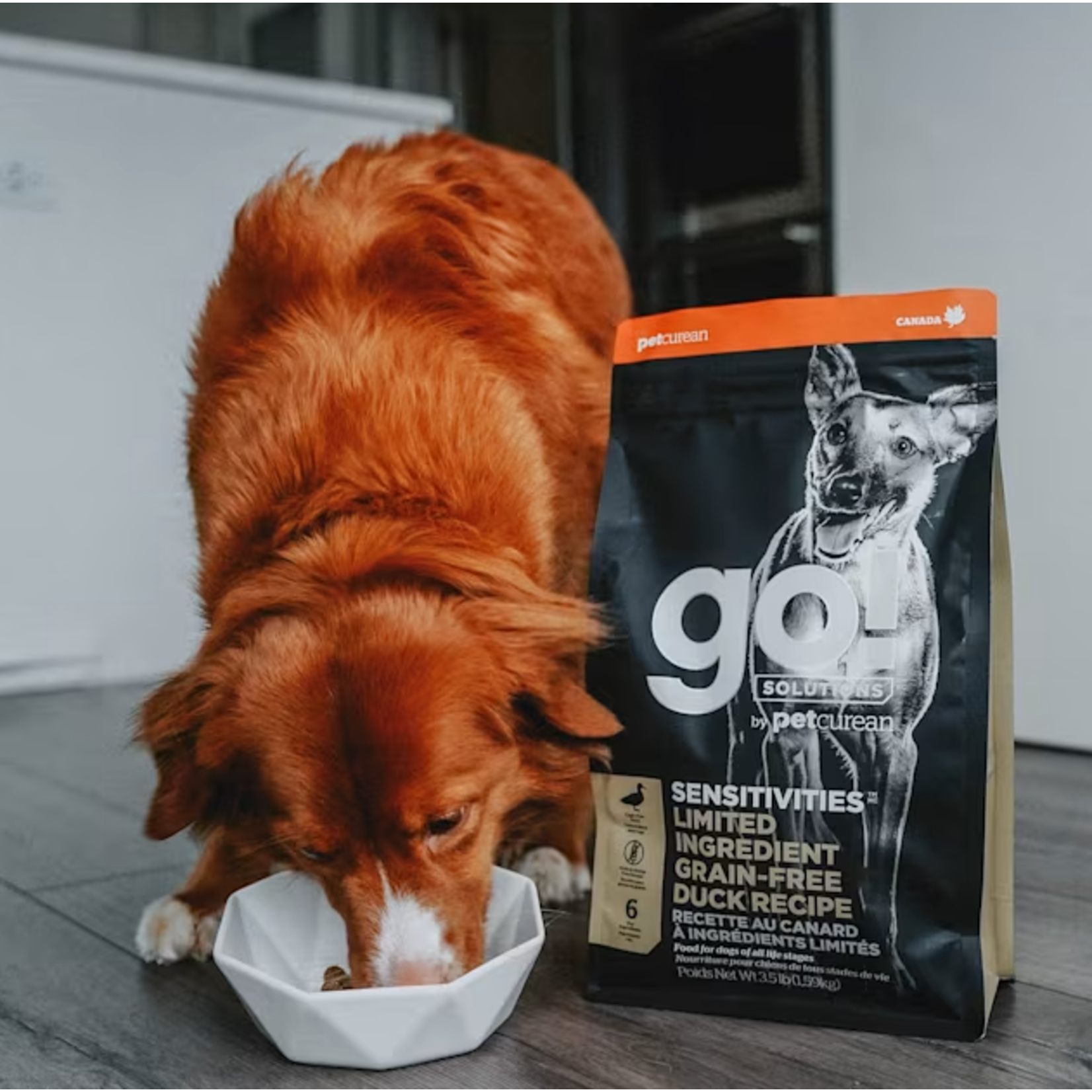 go! solutions Go! Dog Sensitivities LID GF Duck