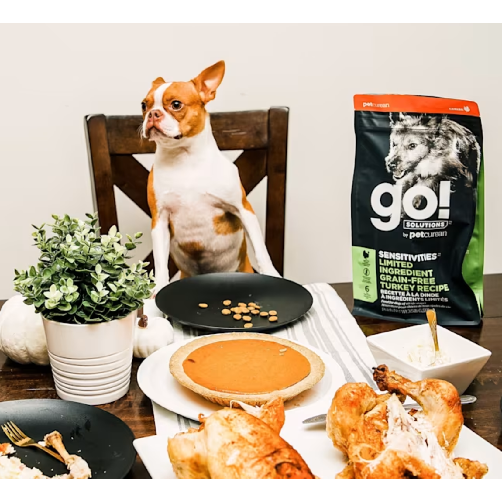 go! solutions Go! Dog  Sensitivities LID GF Turkey