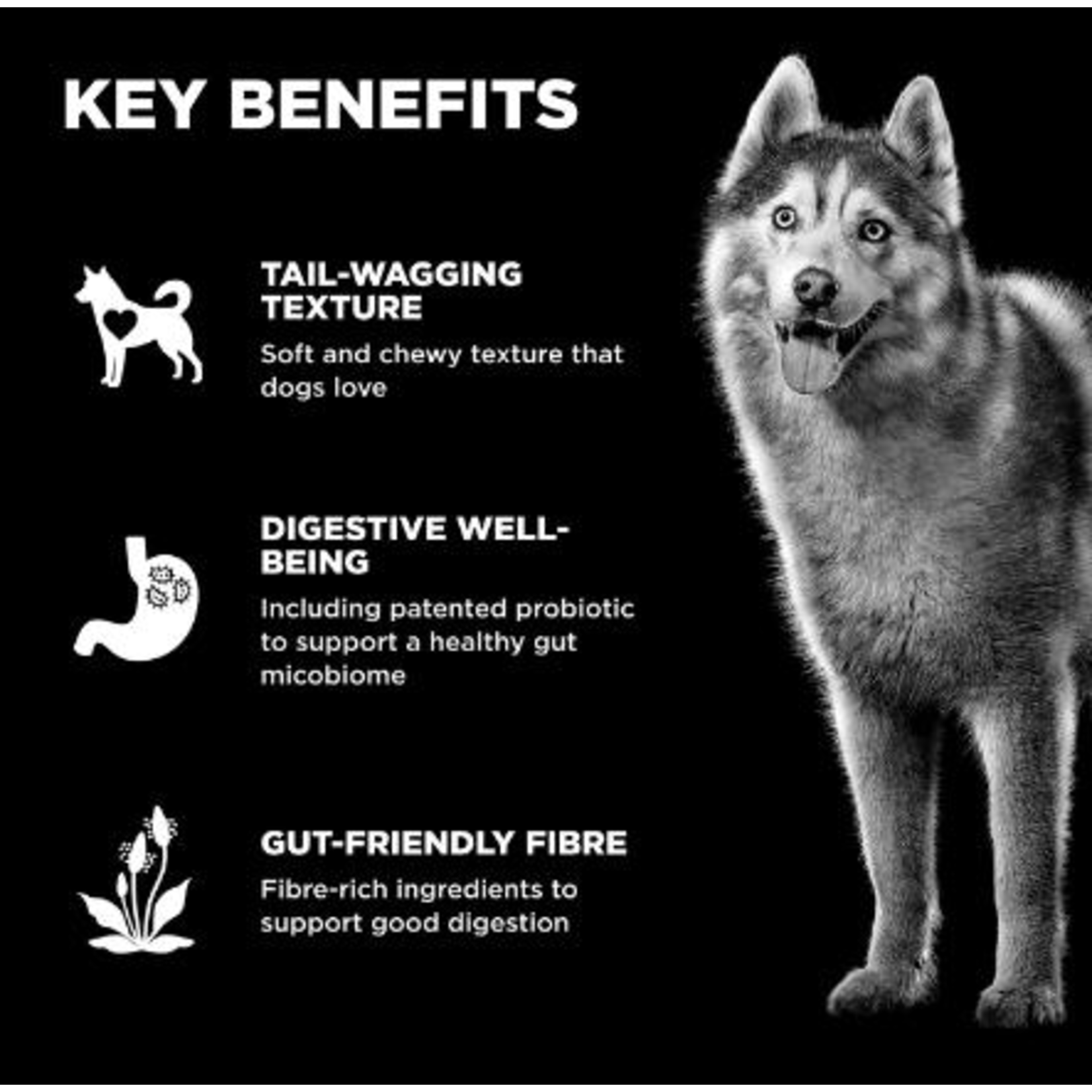 Go! Chews Digestion + Gut health Salmon dog treat  6oz