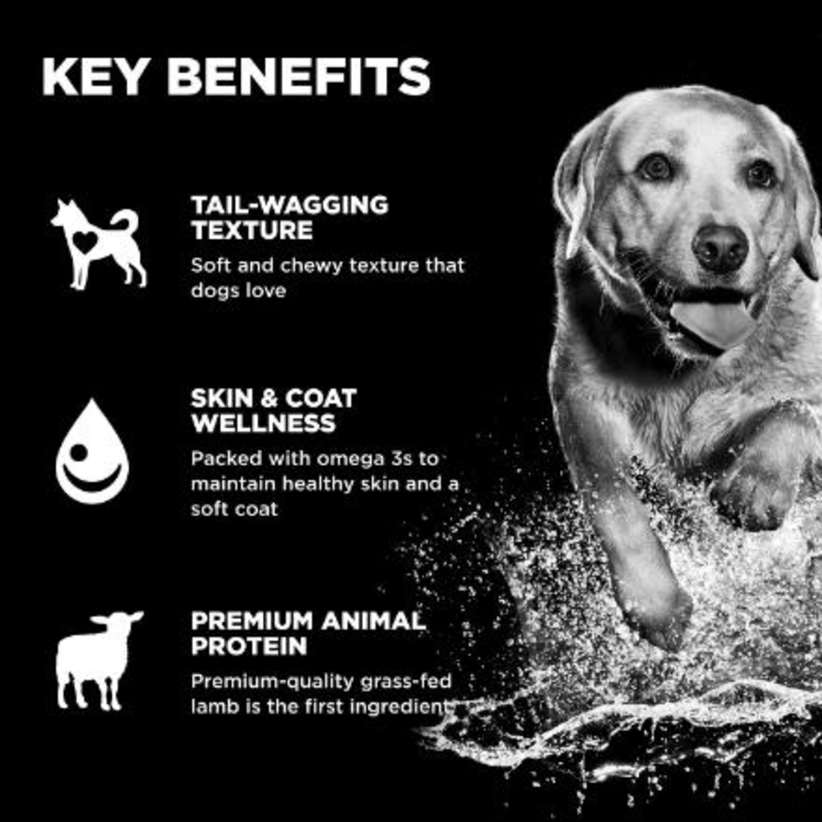 Go! Chews Skin + Coat care Lamb  dog treat  6oz