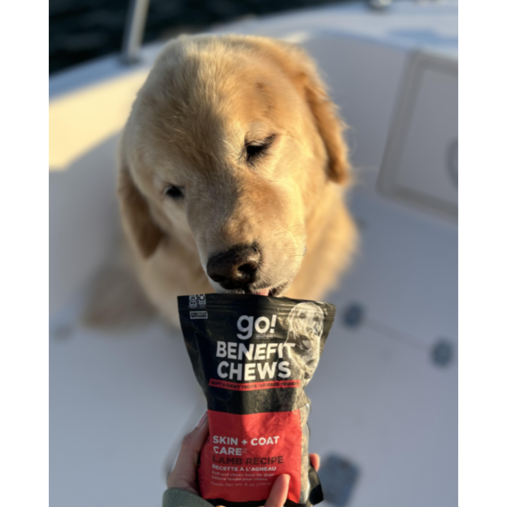 Go! Chews Skin + Coat care Lamb  dog treat  6oz