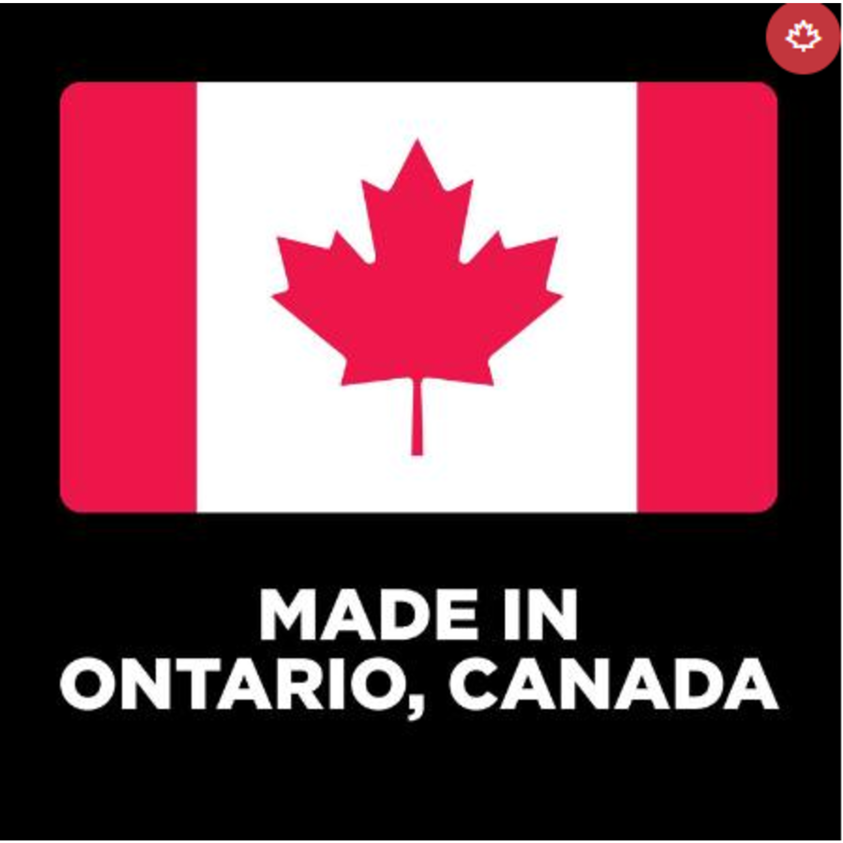 Go! Chews Skin + Coat care Lamb  dog treat  6oz