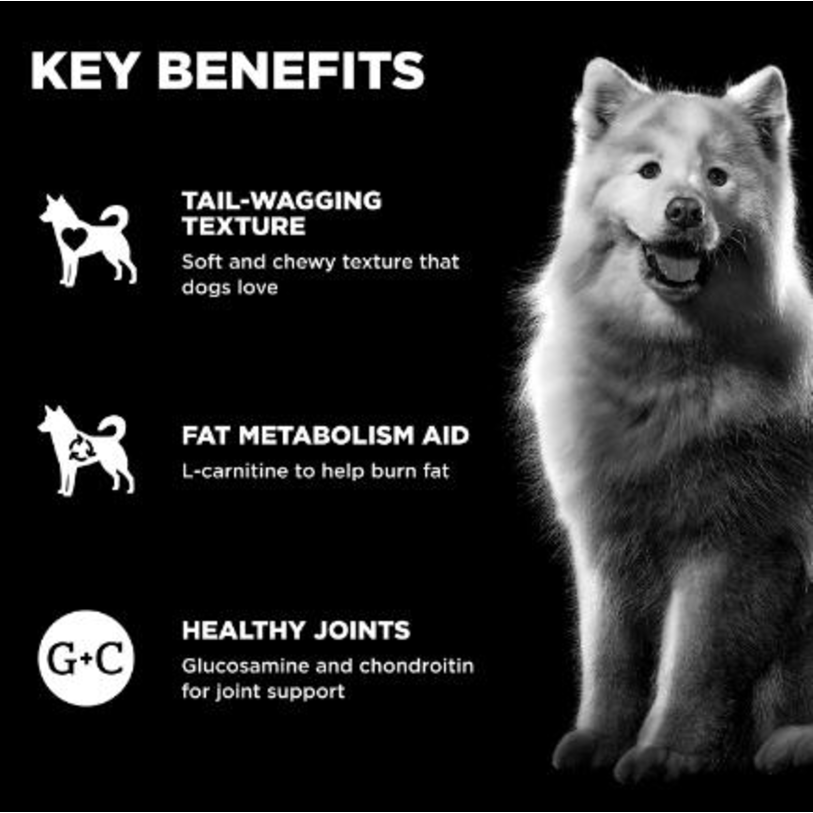 go! Chews Weight Management + Joint Care Chicken  dog treat  6oz