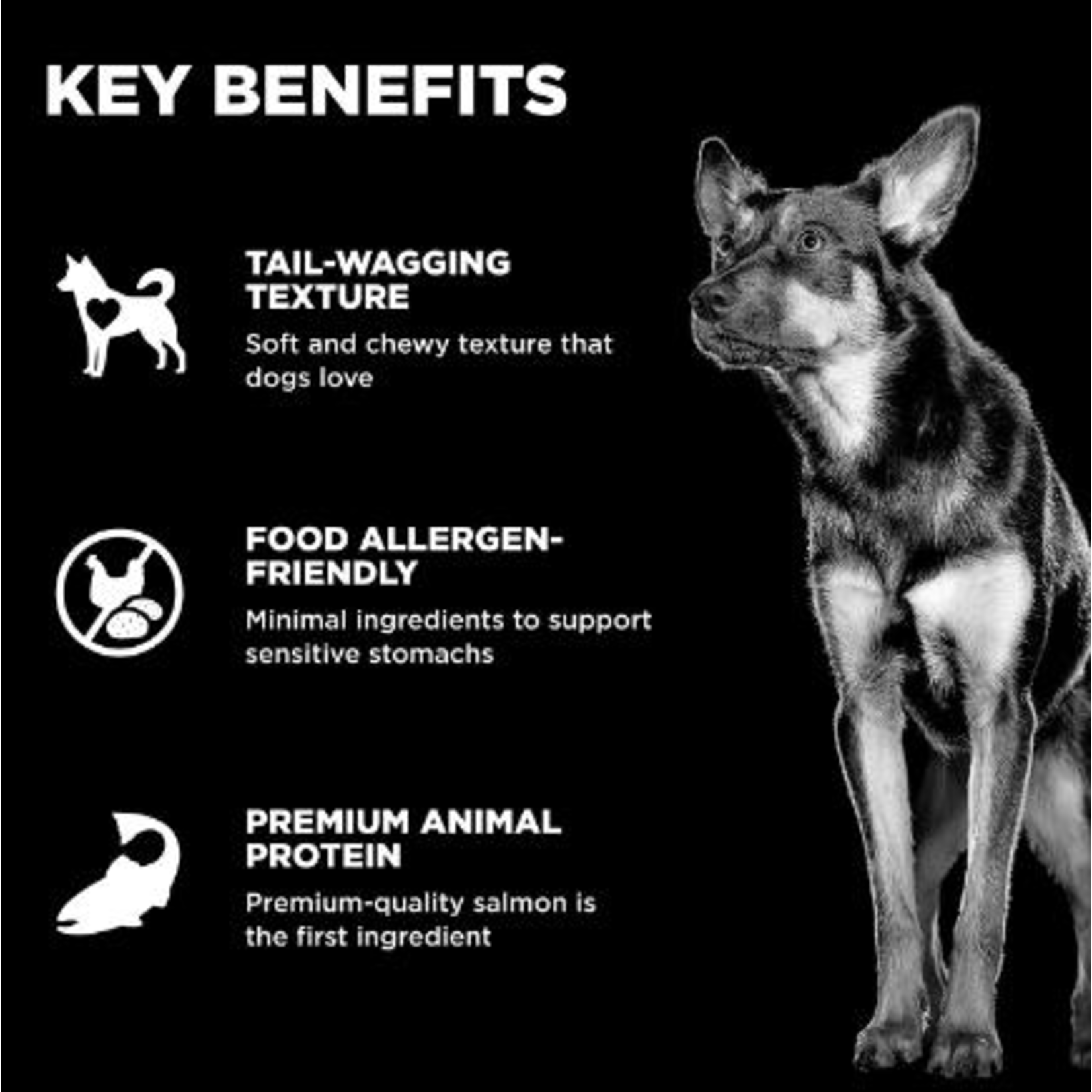 go! Chews Sensitivities LID Salmon dog treat  6oz