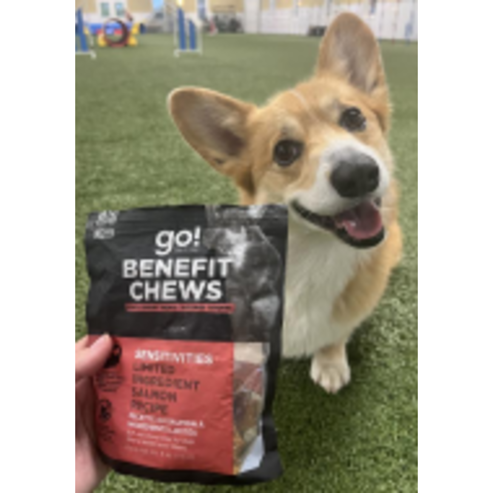 go! Chews Sensitivities LID Salmon dog treat  6oz