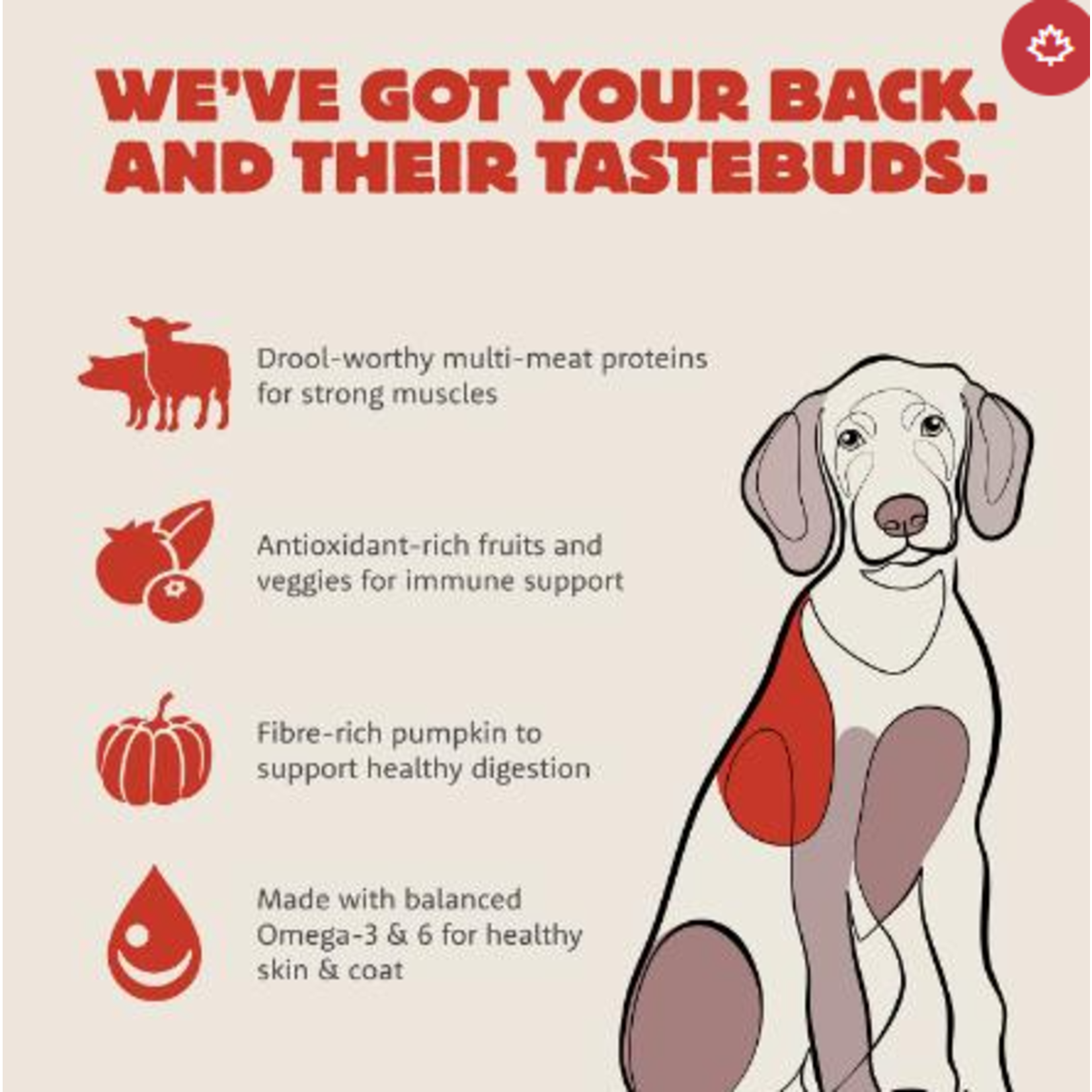 Summit Farmstead Feast Pork & Lamb Meal Adult Dog