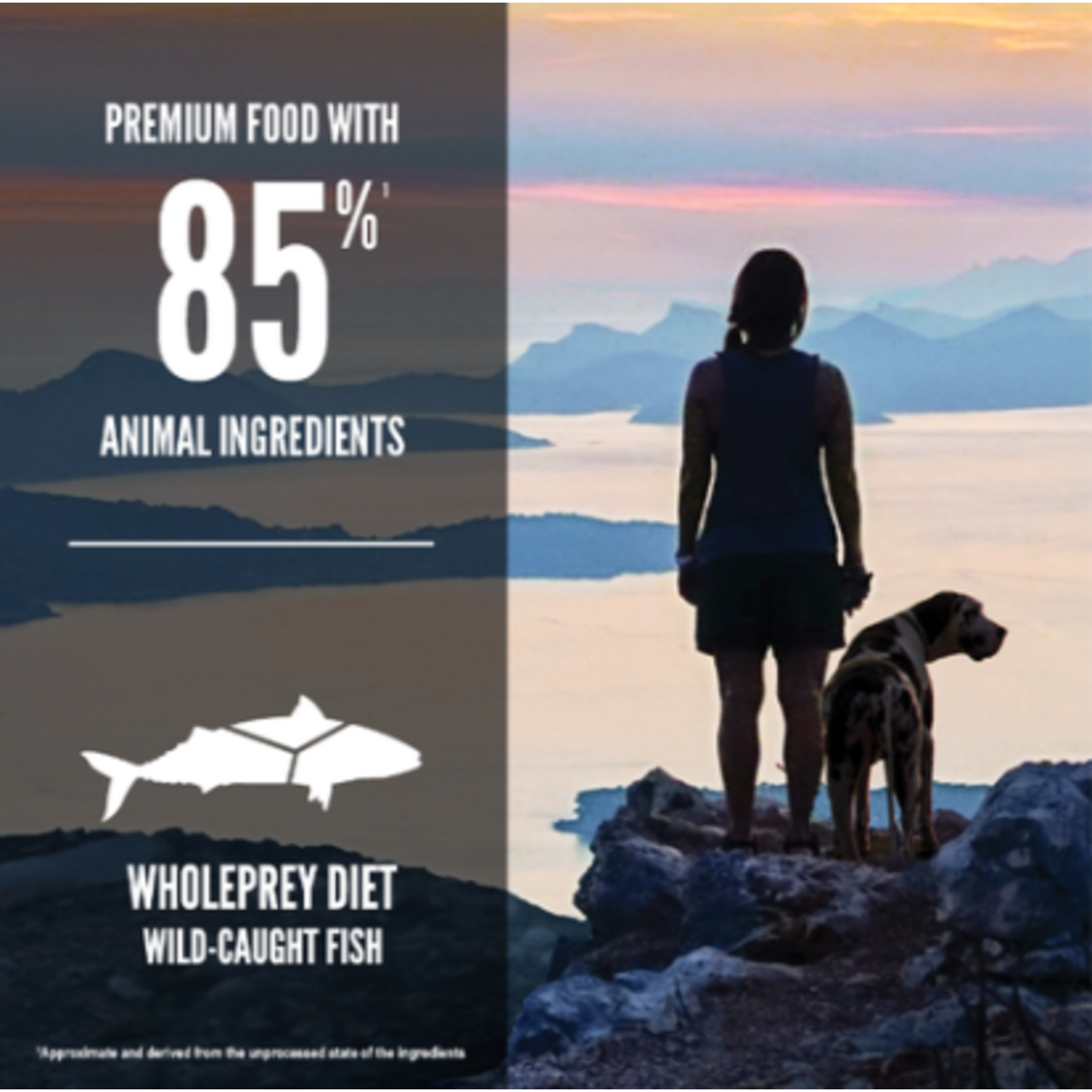 Orijen Orijen Dog 6 fish