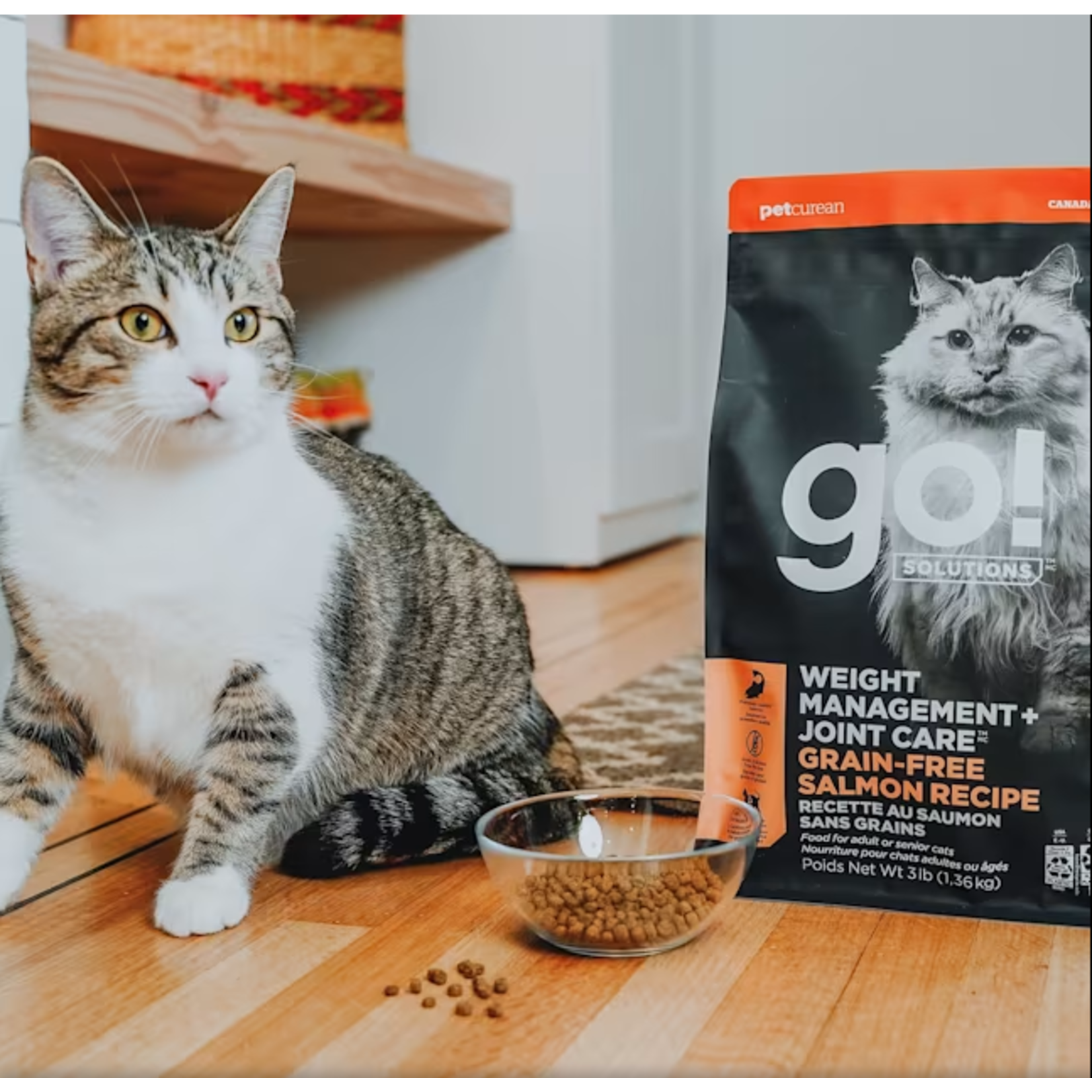 go! solutions Go! Cat Weight Management & Joint Care GF Salmon