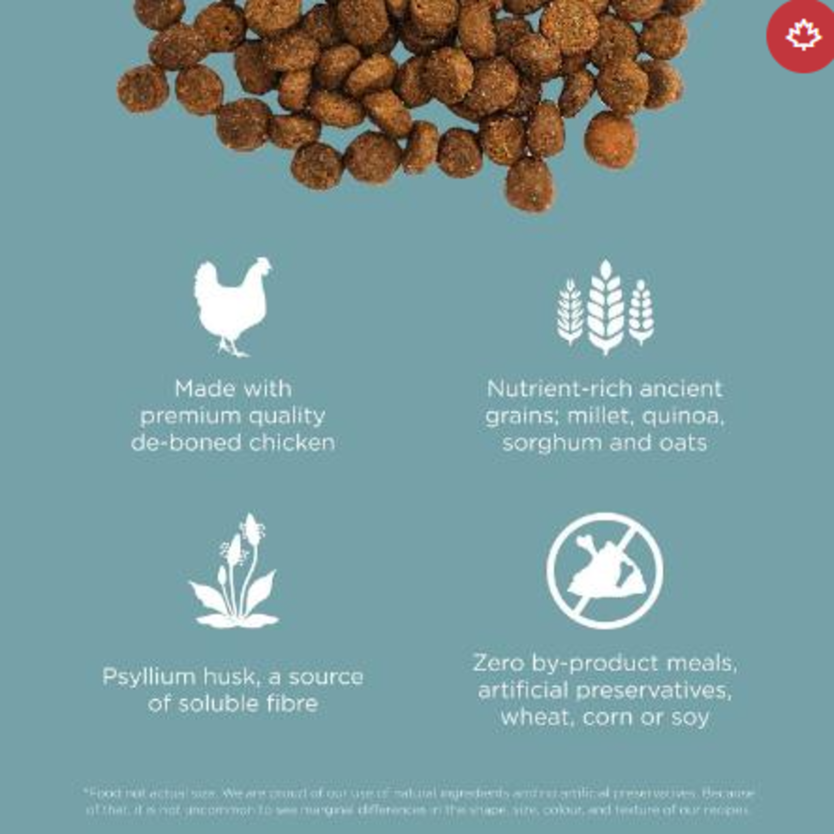 go! solutions Go! Cat Digestion &  Gut Health Chicken & Ancient Grains