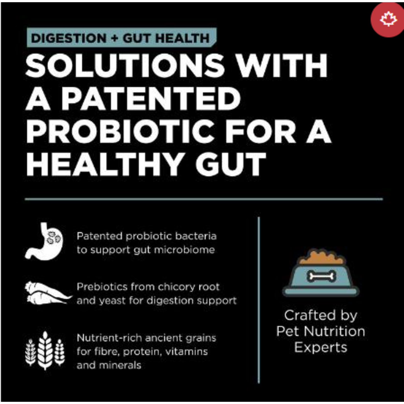 go! solutions Go! Cat Digestion &  Gut Health Chicken & Ancient Grains