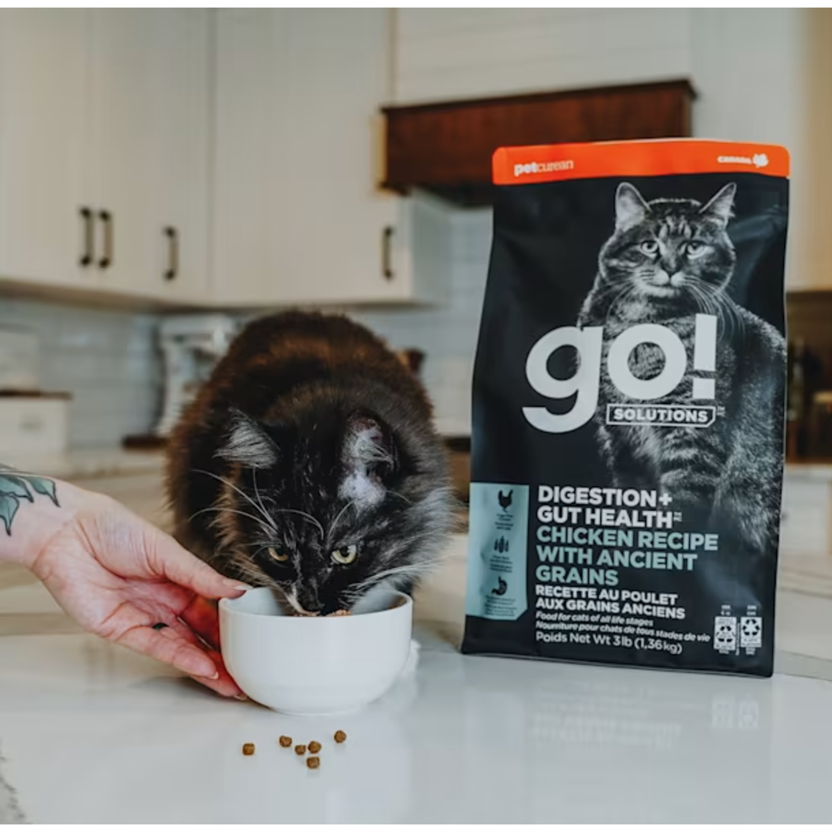 go! solutions Go! Cat Digestion &  Gut Health Chicken & Ancient Grains