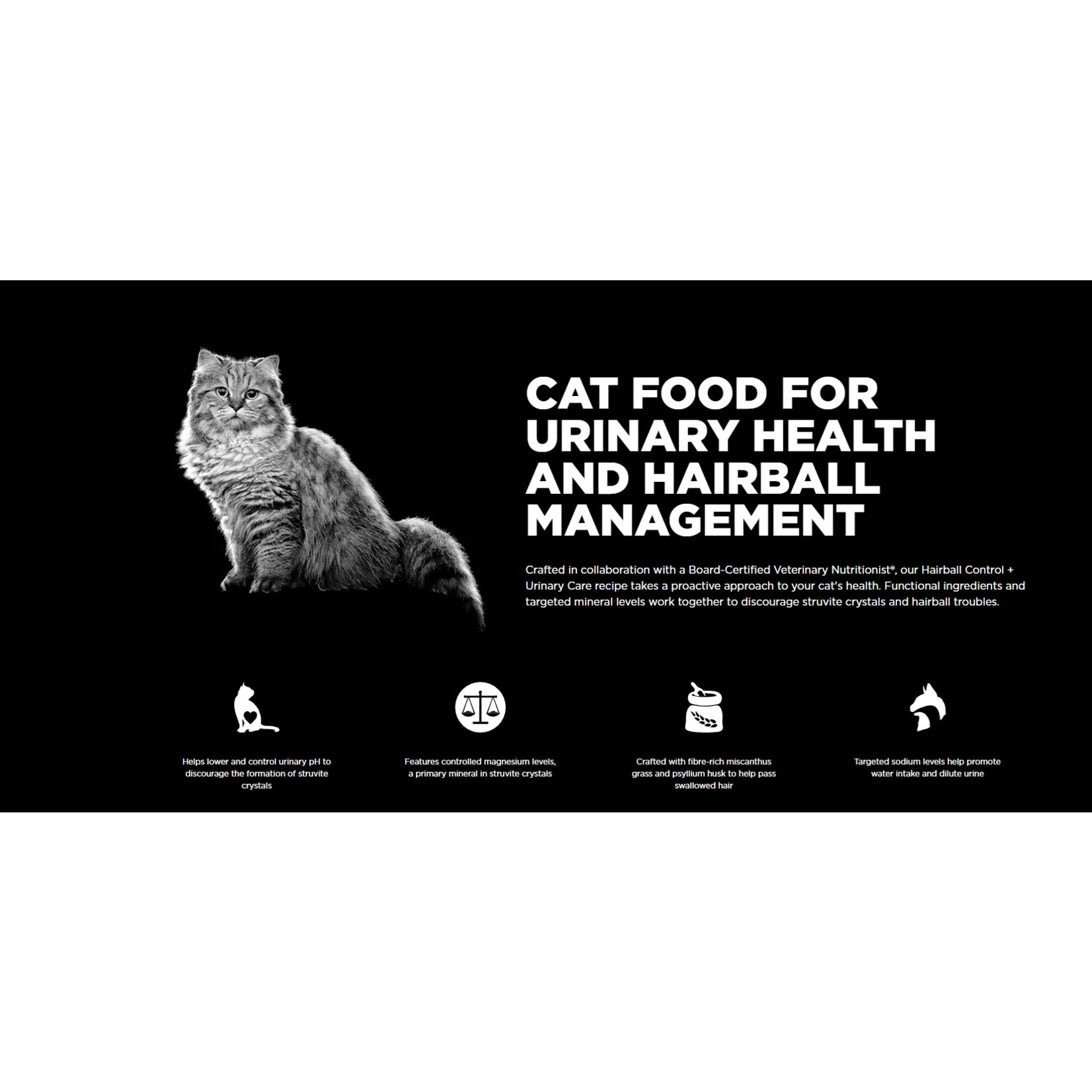 go! solutions Go! Cat Hairball & Urinary Chicken with Grains