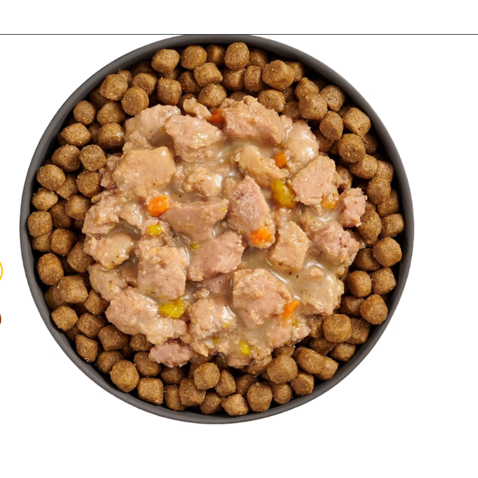 go! solutions Go! Cat Booster Brain health Minced Chicken & Salmon With Gravy 2.5OZ
