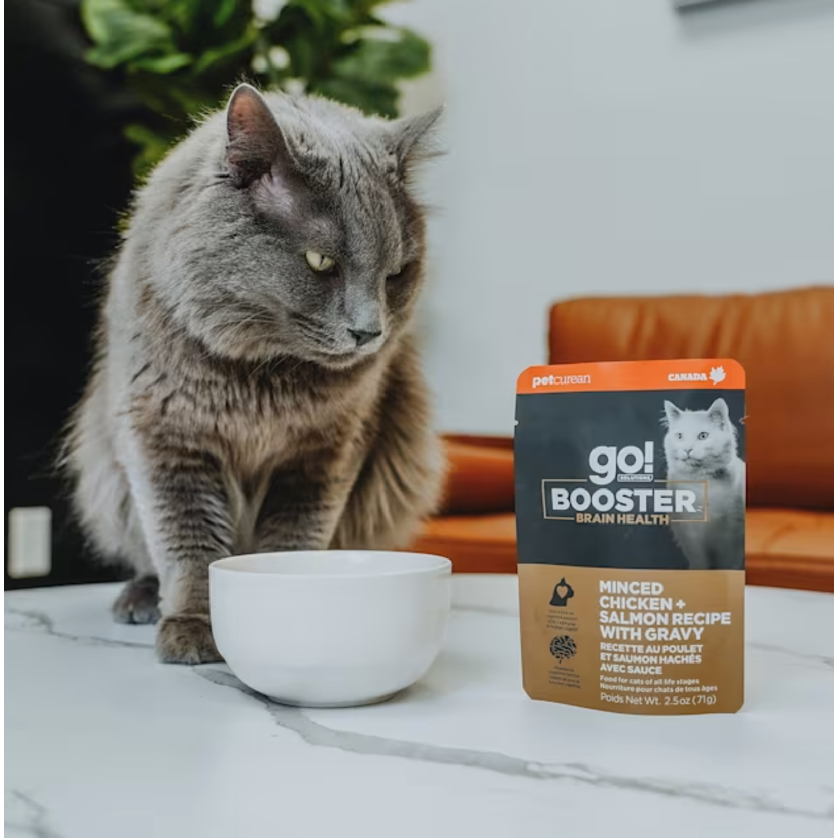 go! solutions Go! Cat Booster Brain Minced Chicken & Salmon With Gravy 2.5OZ