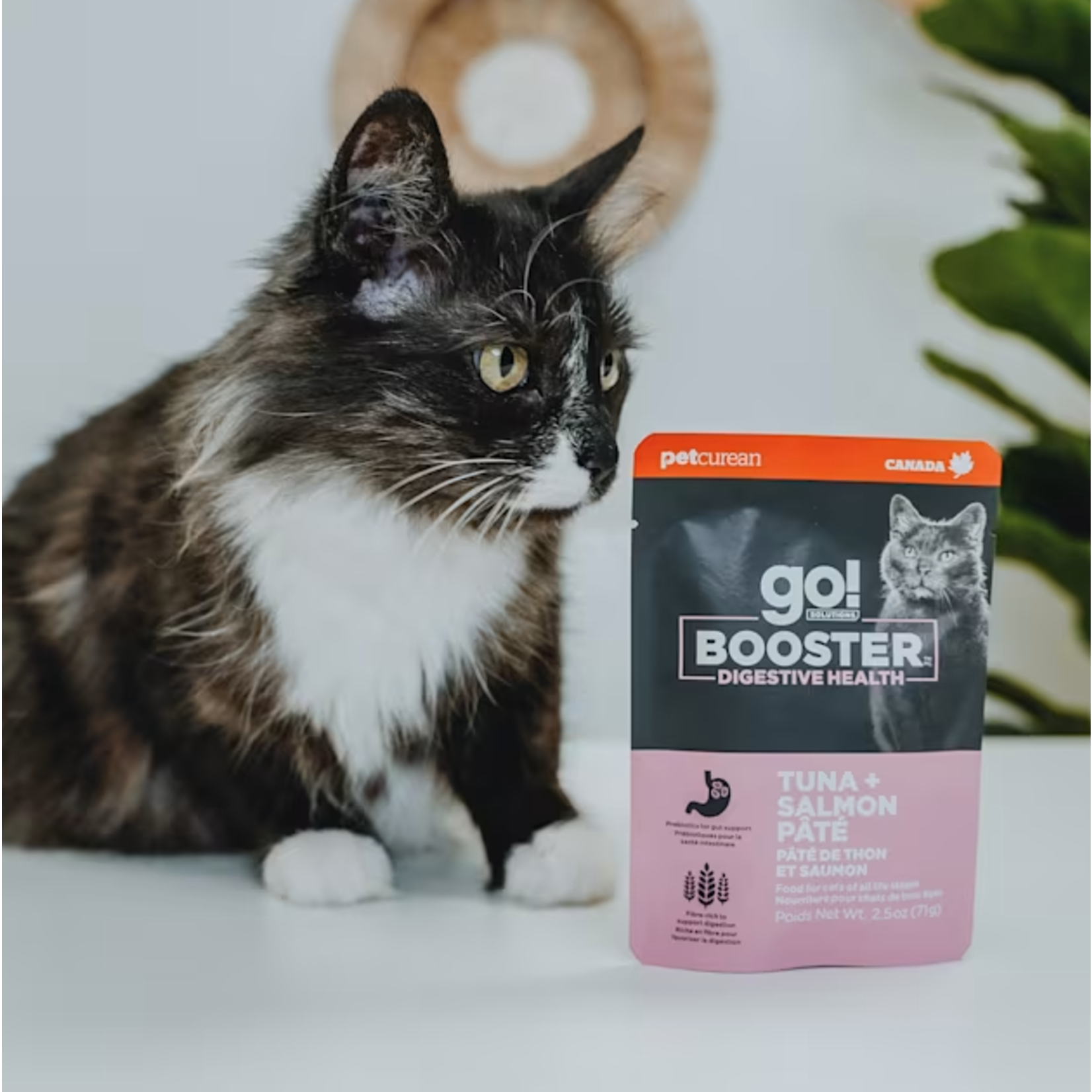 go! solutions Go! Cat Booster Digestive Tuna + Salmon Pate  2.5oz