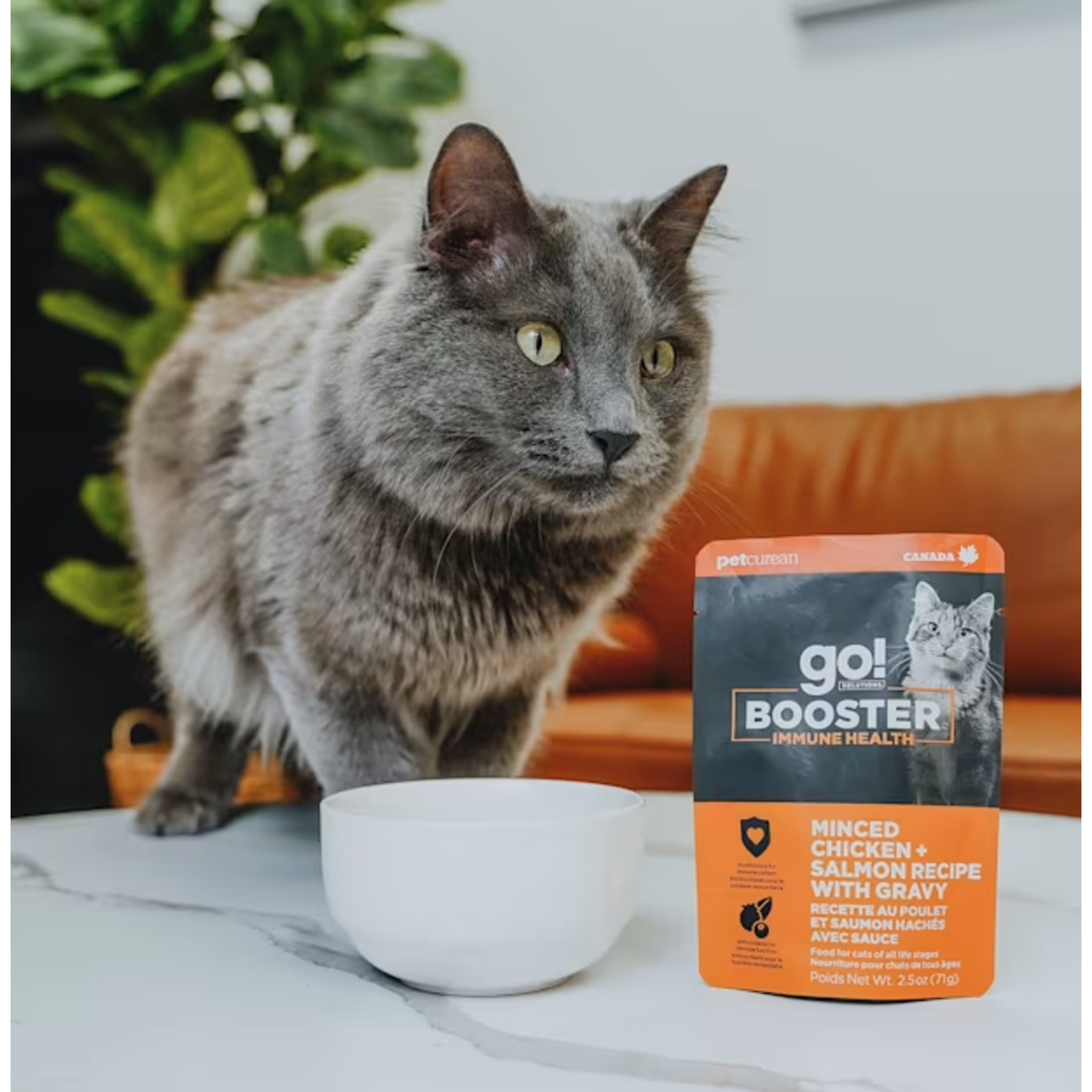 go! solutions Go! Cat Booster Immune Health Minced Chicken + Salmon W Gravy  2.5oz