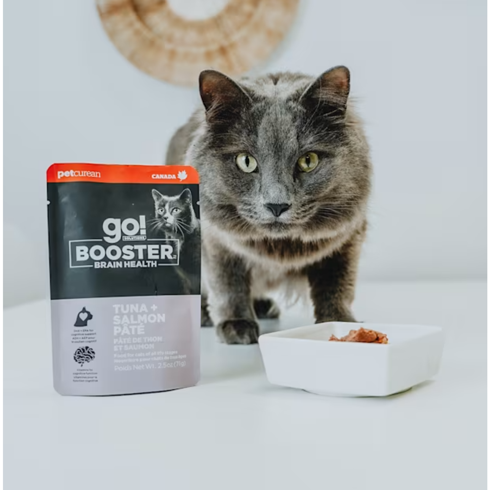 go! solutions Go! Cat Booster Brain Health Tuna + Salmon Pate  2.5oz