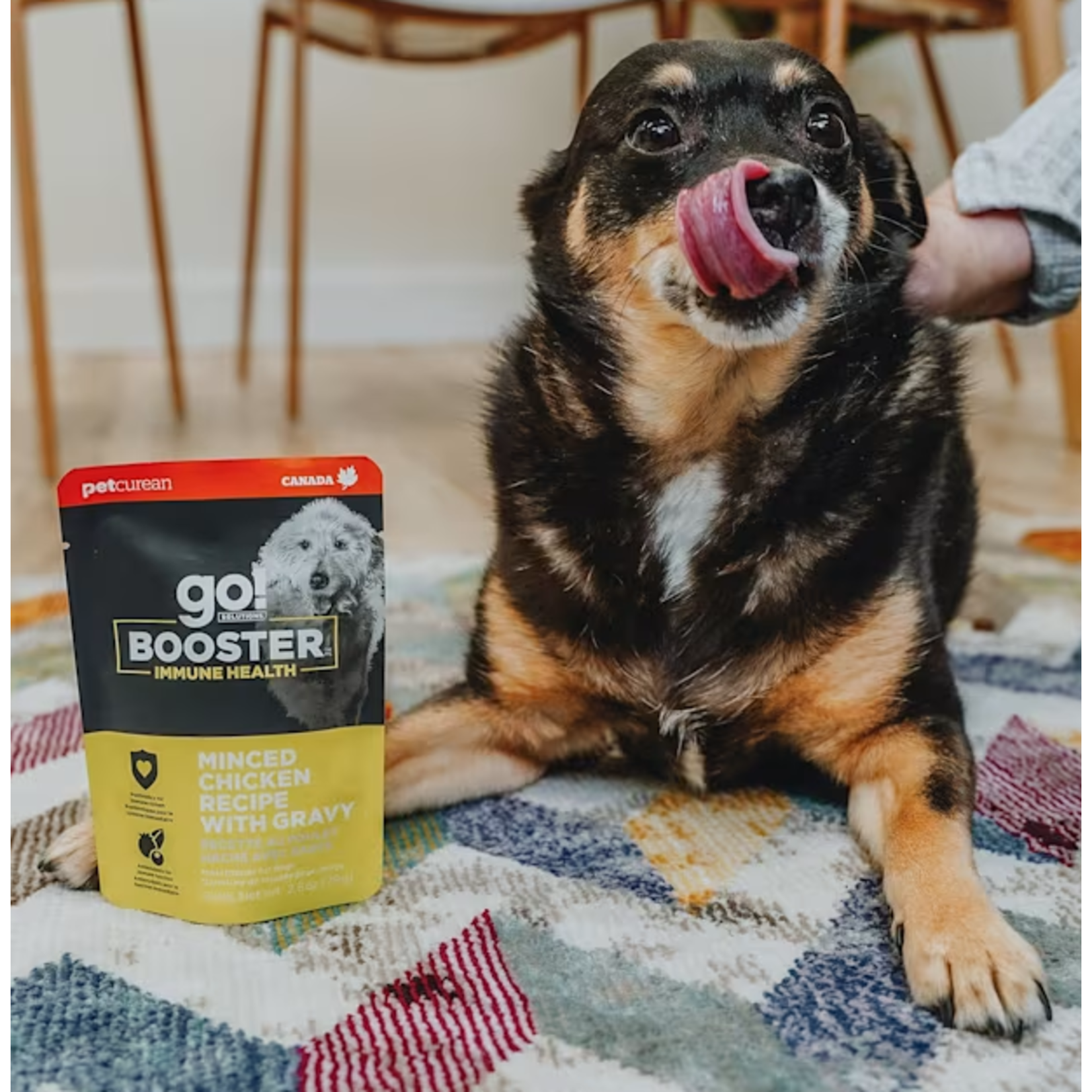 go! solutions Go! Booster Immune Minced Chicken  Gravy 2.8oz