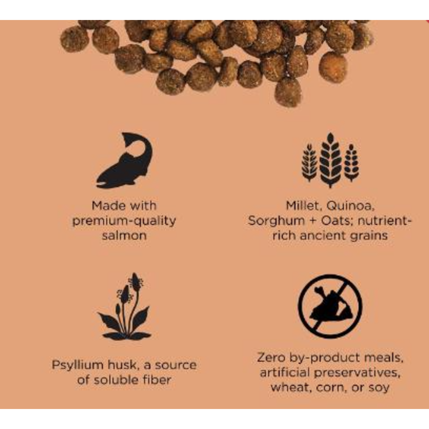 go! solutions Go! Cat digestion and gut health Salmon & Ancient grains recipe