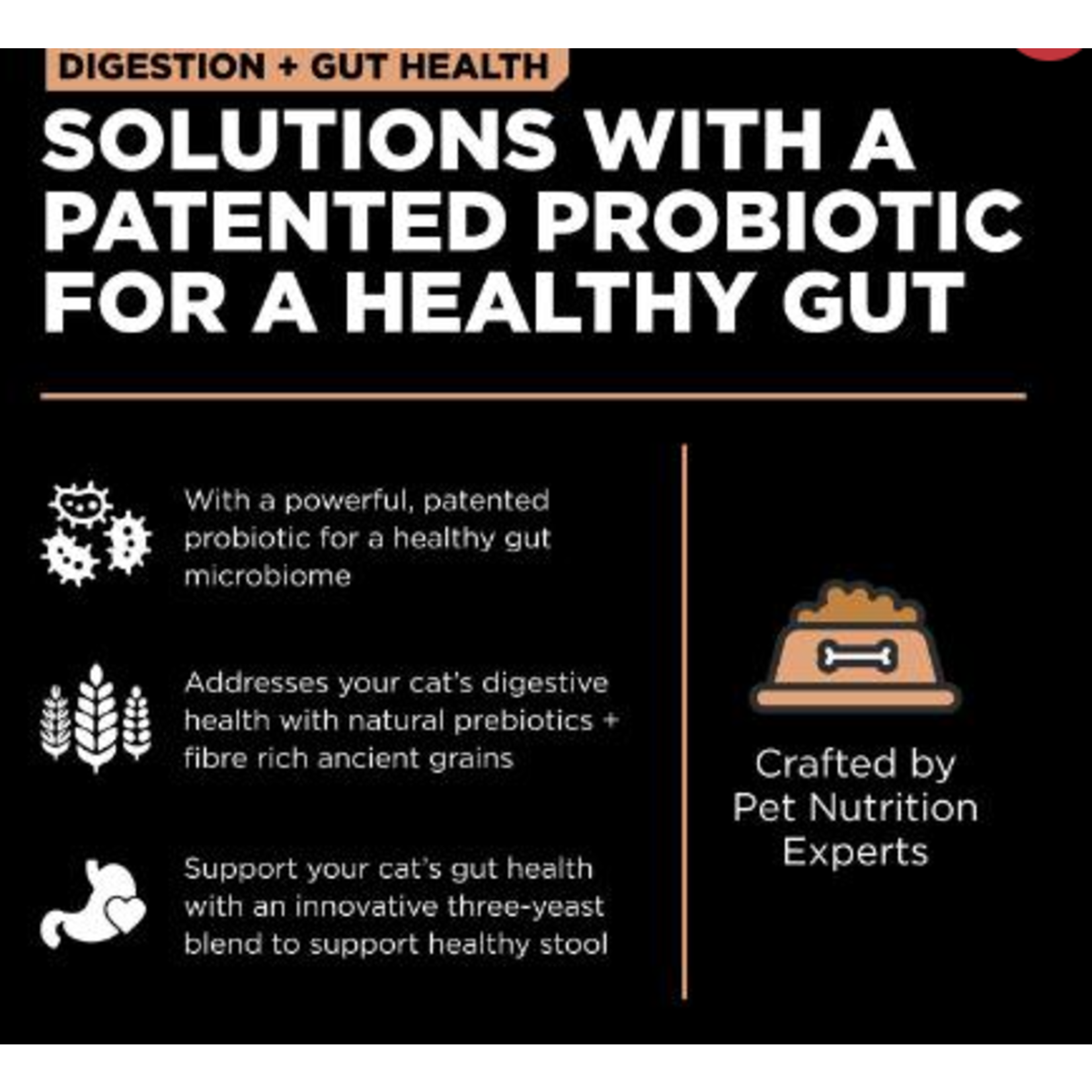 go! solutions Go! Cat digestion and gut health Salmon & Ancient grains recipe