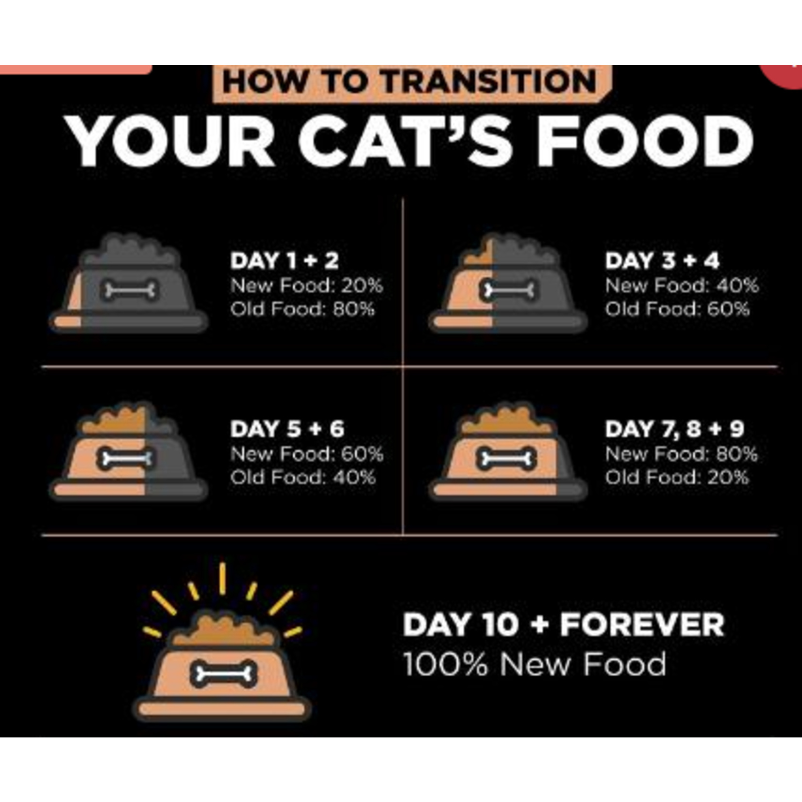 go! solutions Go! Cat digestion and gut health Salmon & Ancient grains recipe