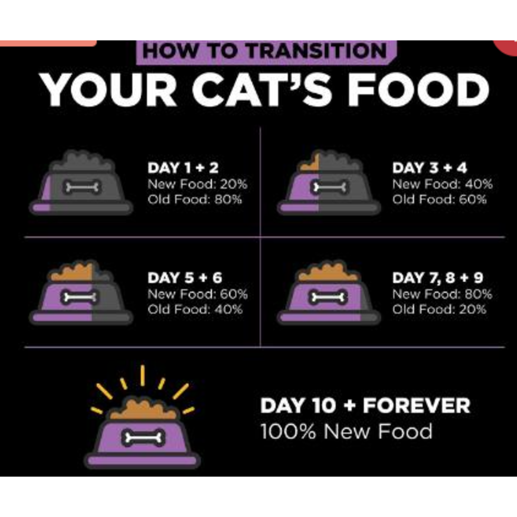 go! solutions Go! Cat carnivore GF chicken, turkey, duck