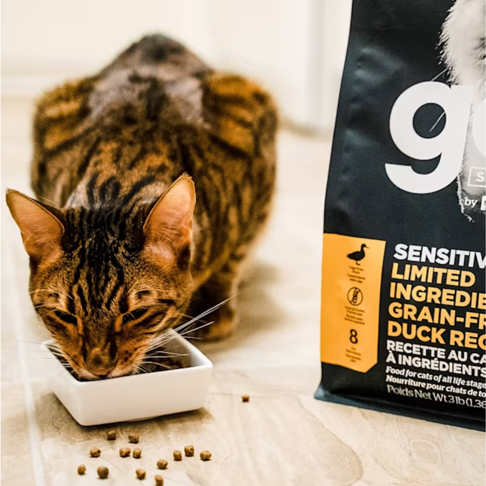 go! solutions Go! Cat Sensitivities LID GF Duck