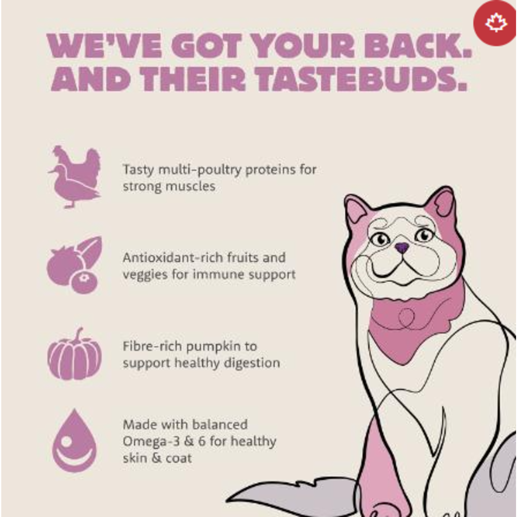 Summit Cat Meadow Roast Chicken & Duck Meal Adult