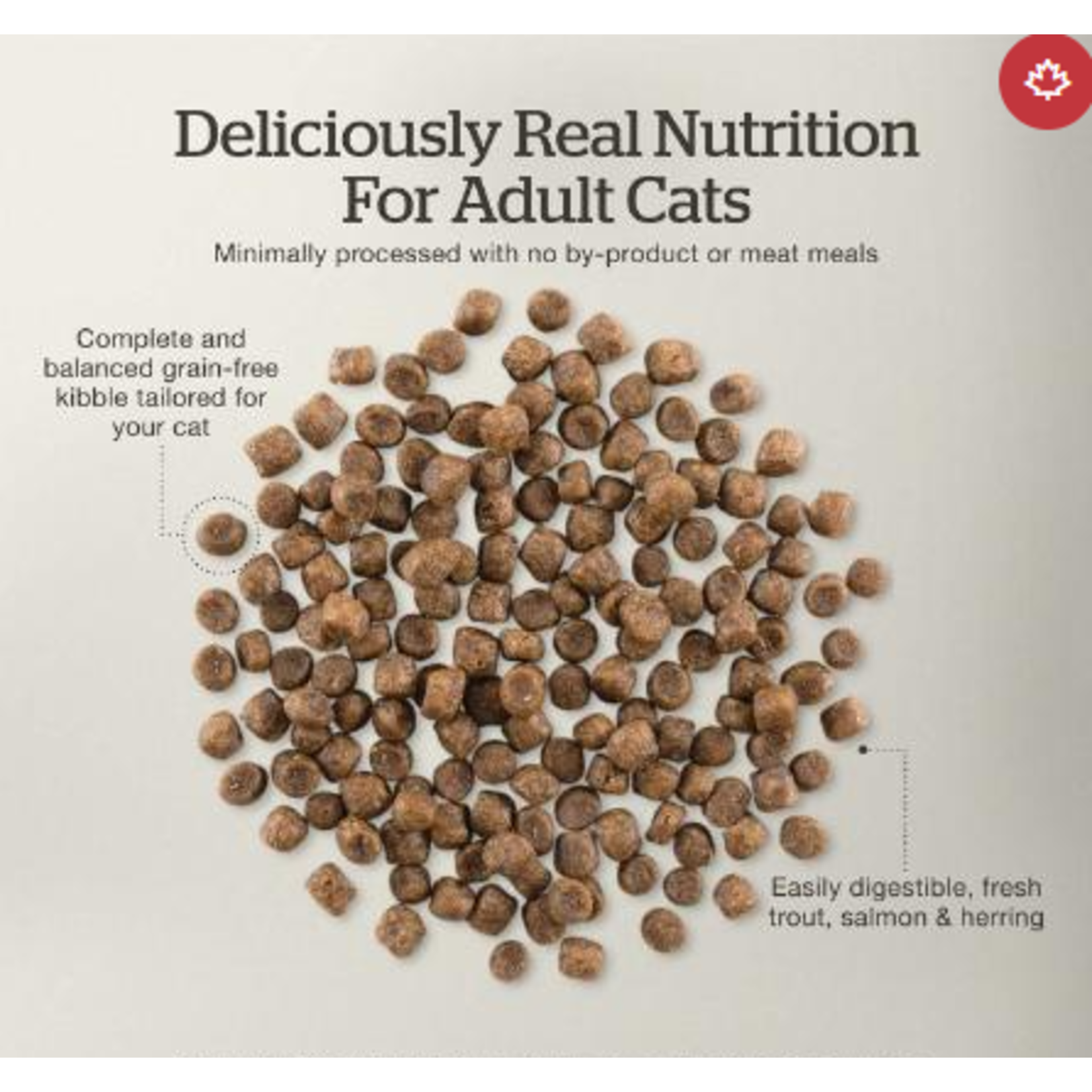 NOW Fresh Now Fresh Trout , Salmon, Herring Adult Cat 8 lb