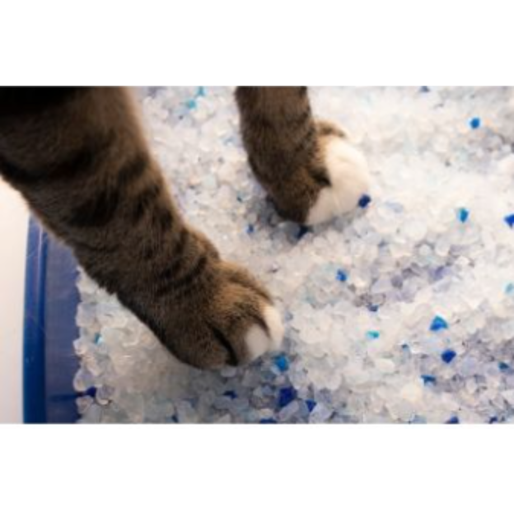 Pestell Clear Choice Silica Crystals Cat Litter 12LB