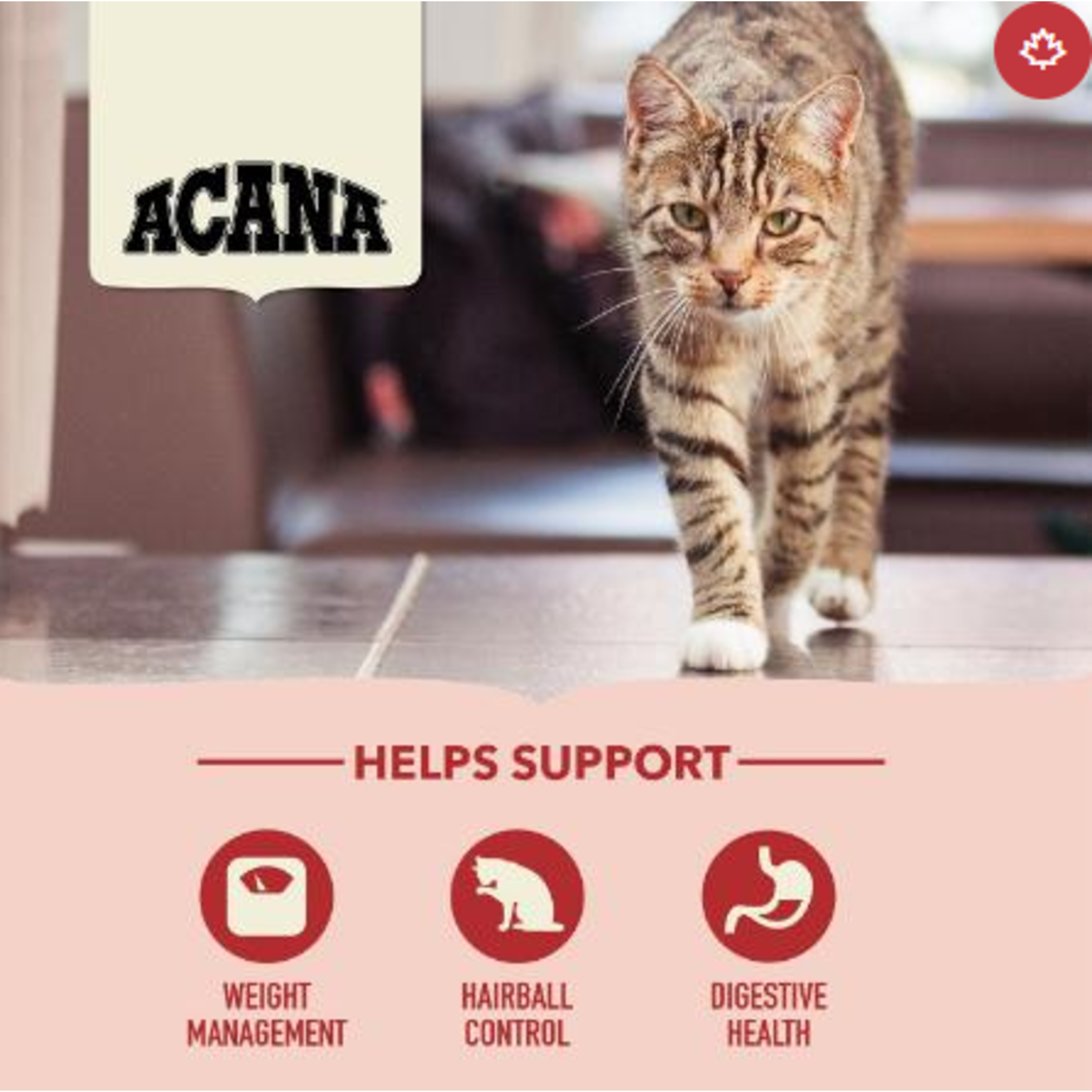 ACANA Acana Cat Indoor Entree